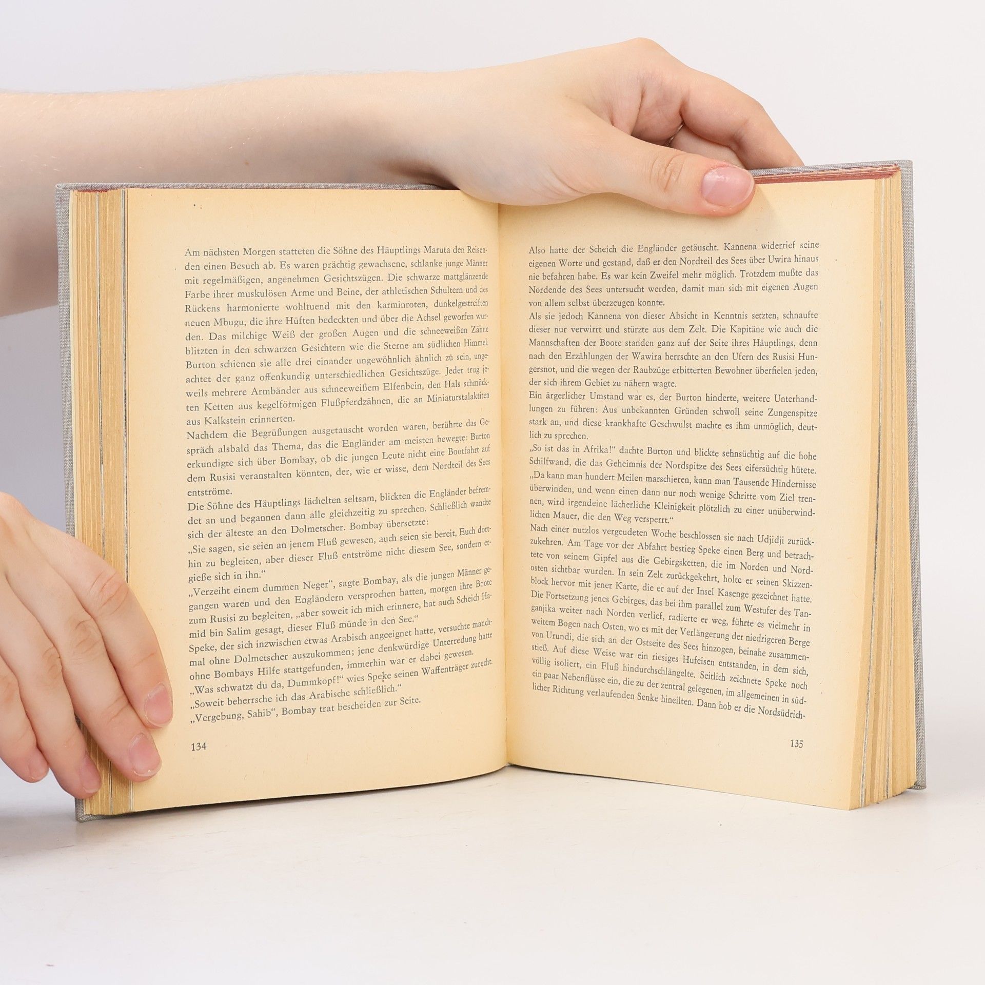 A. B. Strashewski Das Geheimnis der Nilquellen