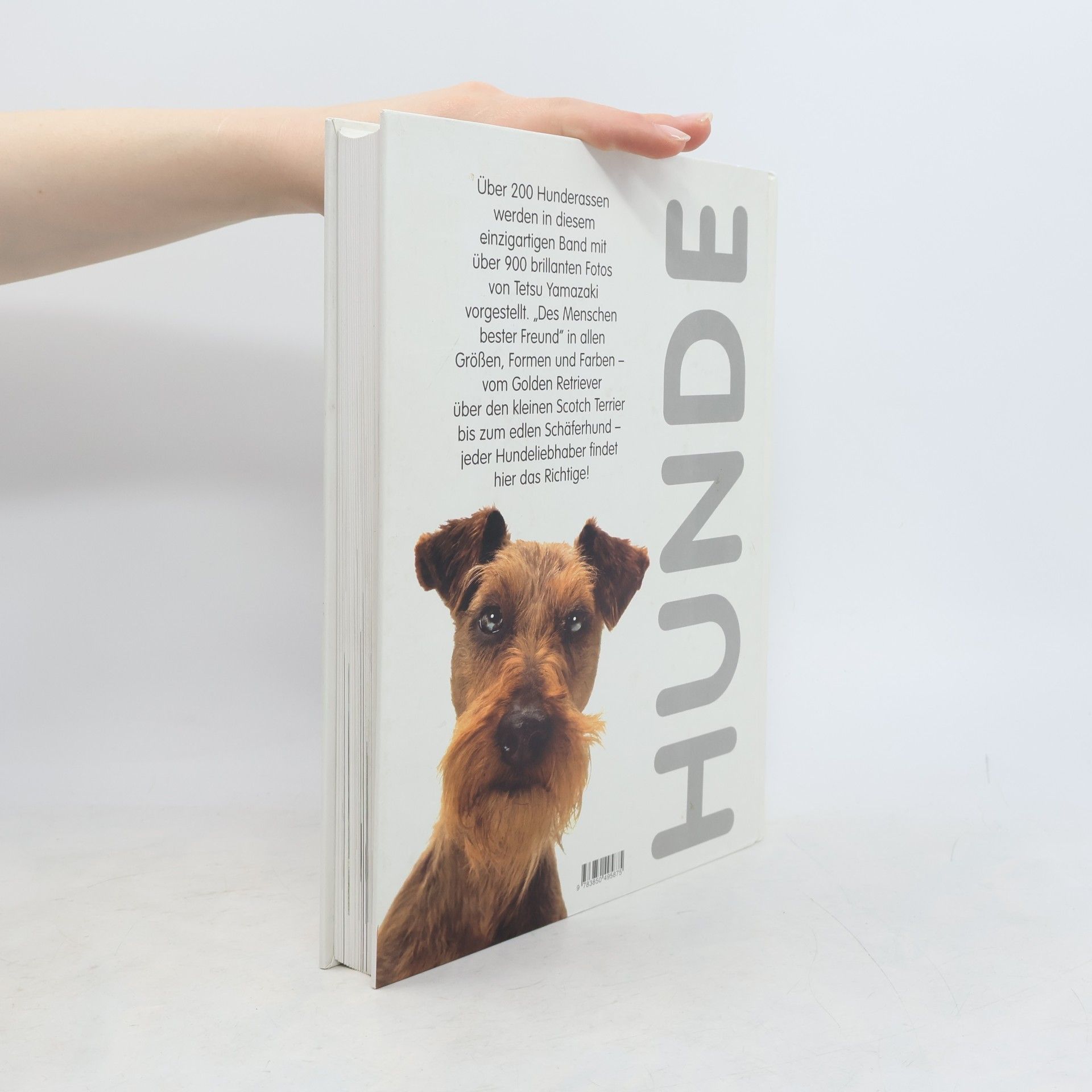 Tetsu Yamazaki Hunde