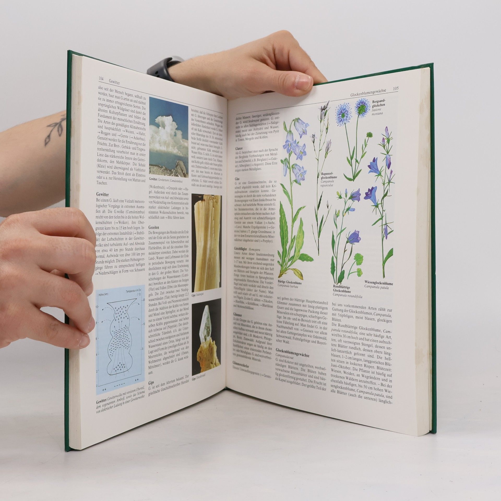 Autores varios Der große Natur- und Landschaftsführer