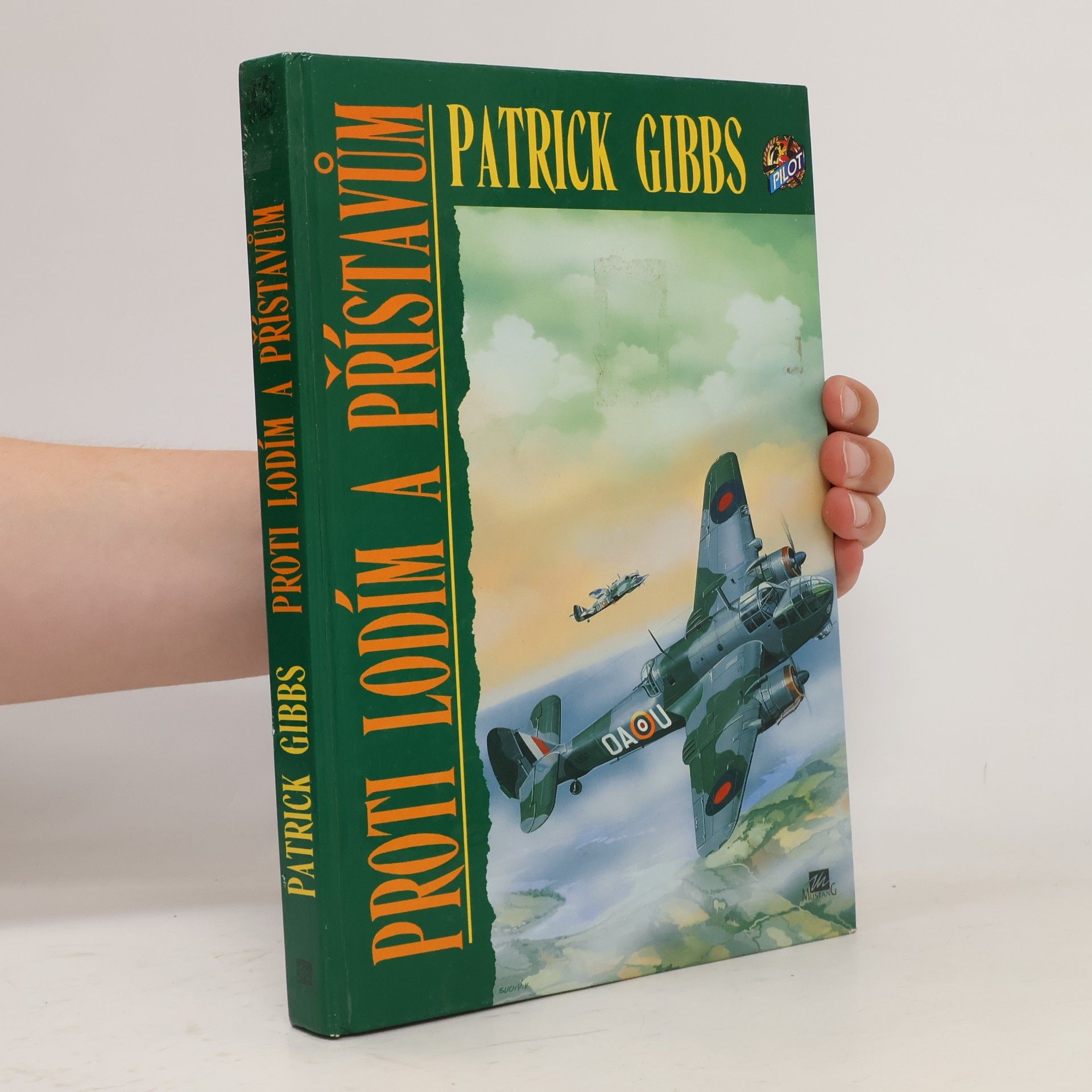Gibbs Patrick Proti lodím a přístavům