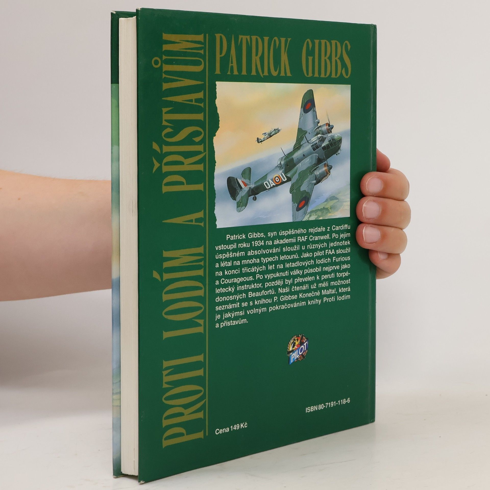 Gibbs Patrick Proti lodím a přístavům