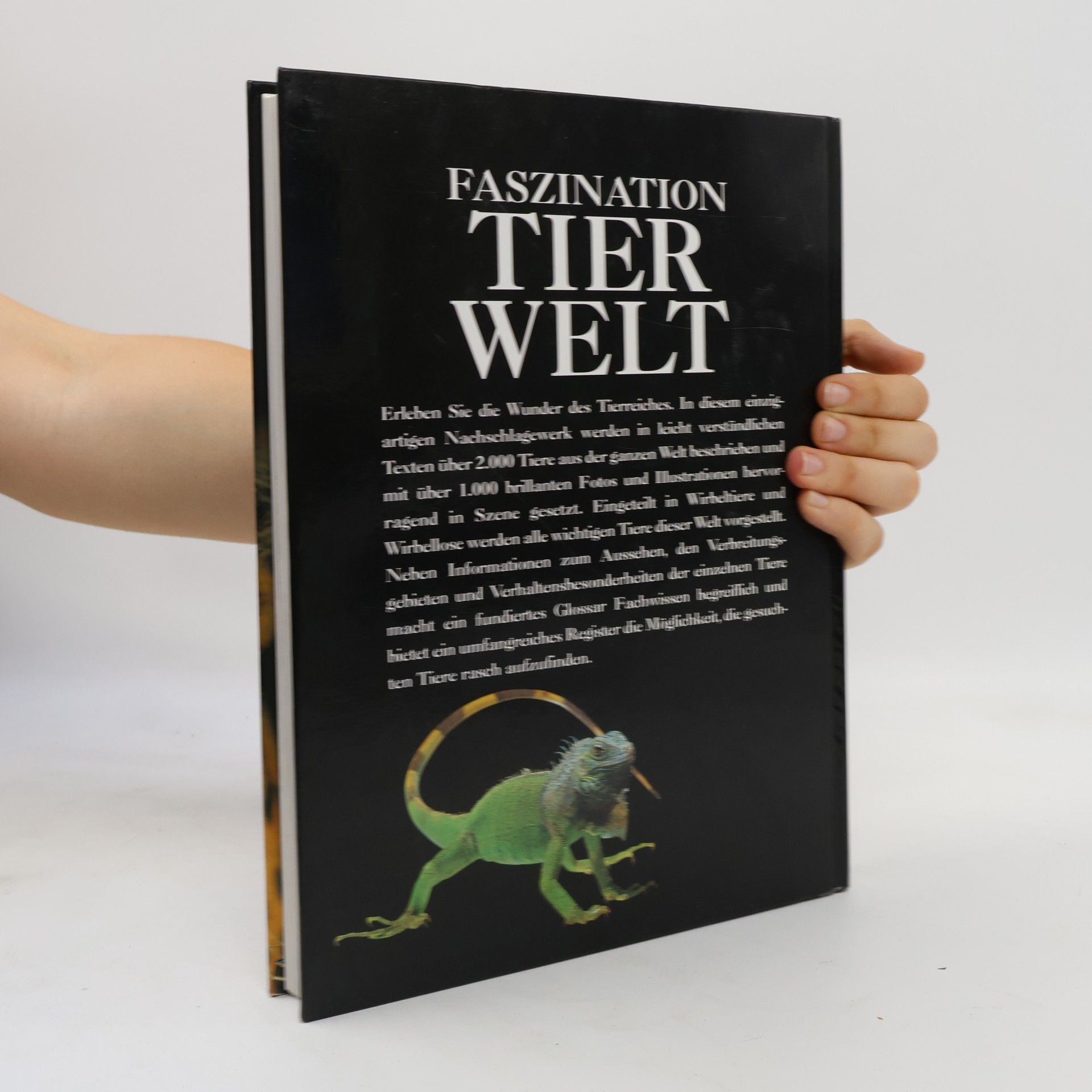 Autorenkollektiv Faszination. Tierwelt