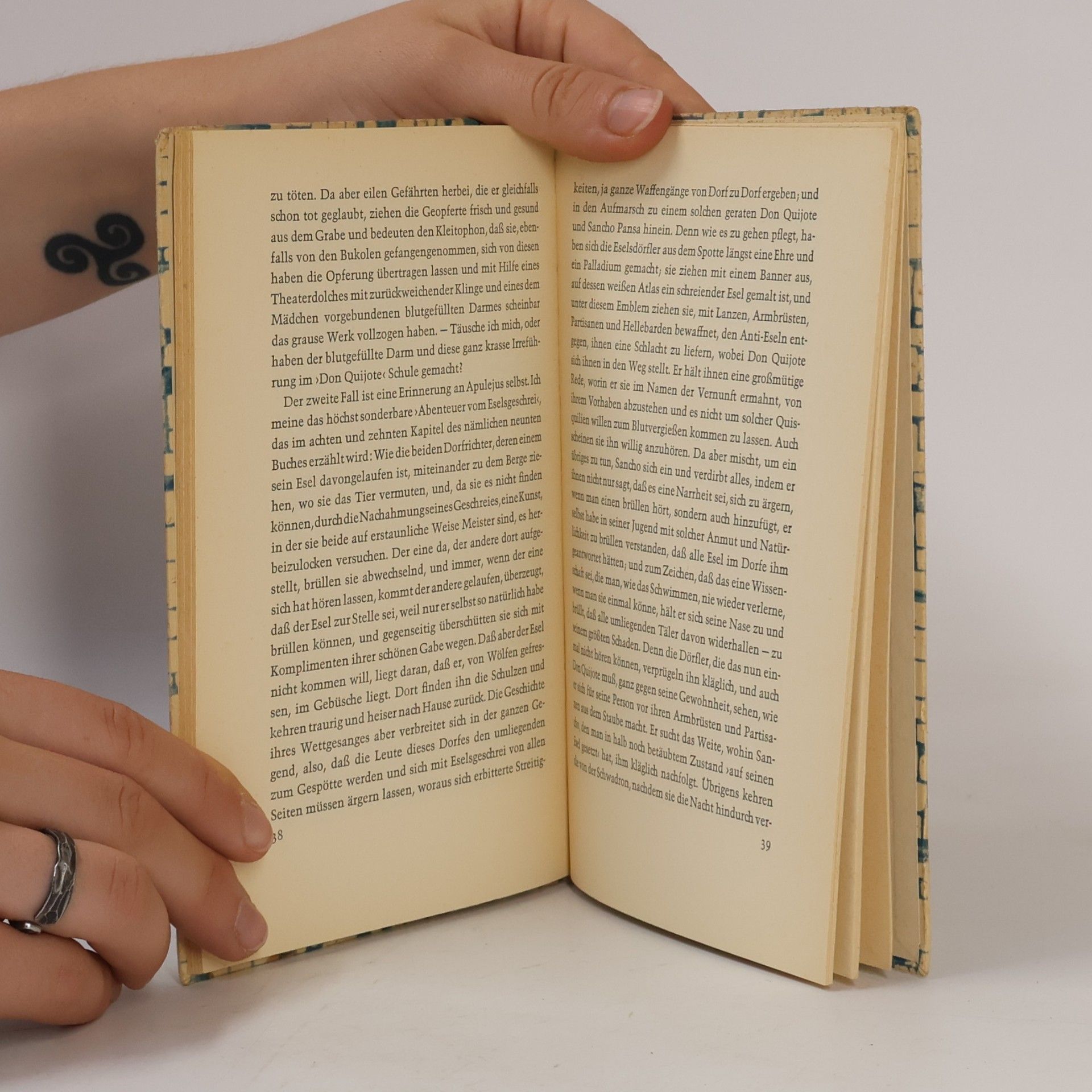 Thomas Mann Meerfahrt mit Don Quijote