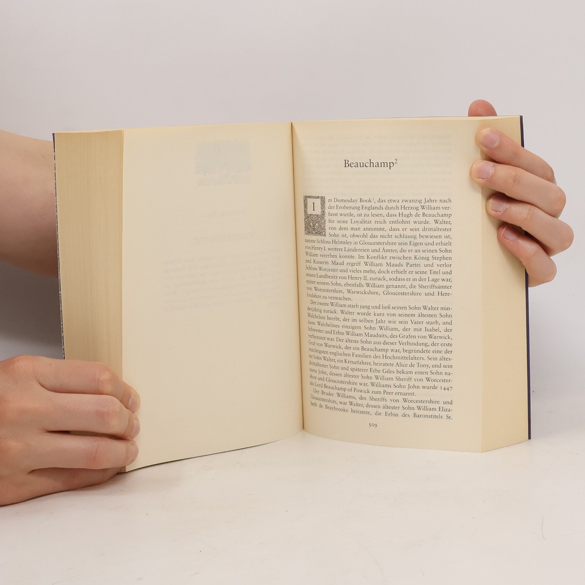 Diana Gabaldon Der magische Steinkreis
