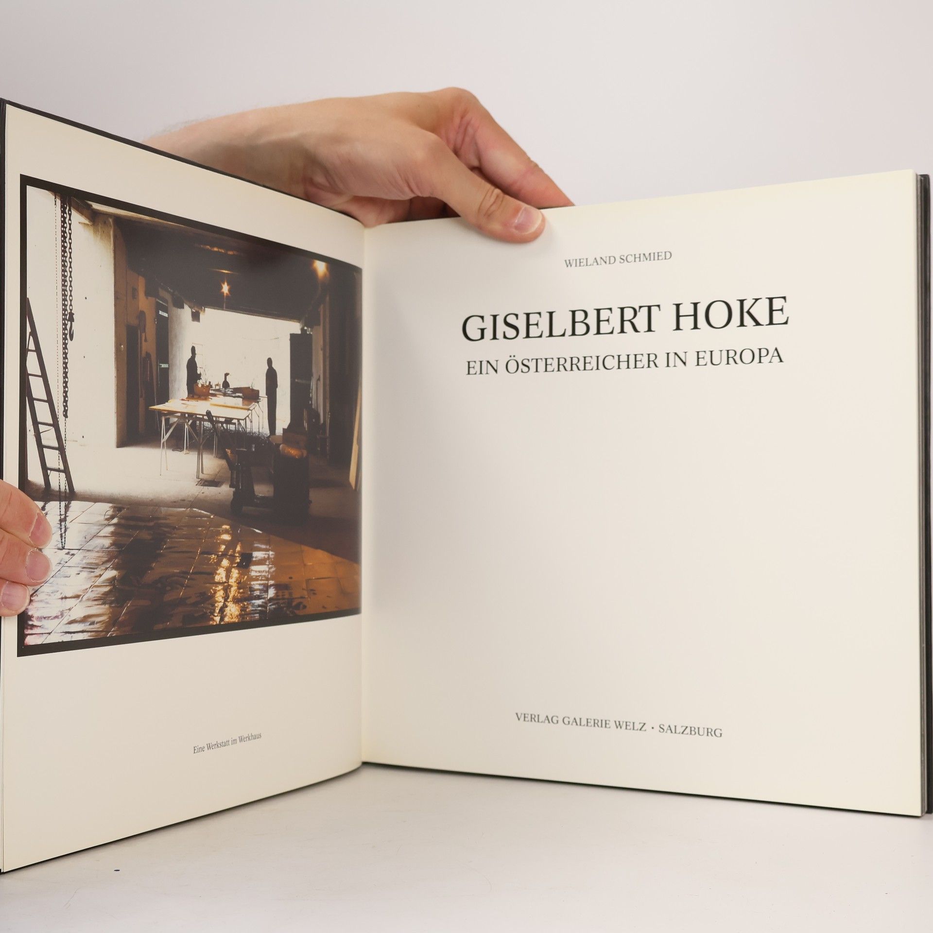 Giselbert Hoke Ein Österreicher in Europa