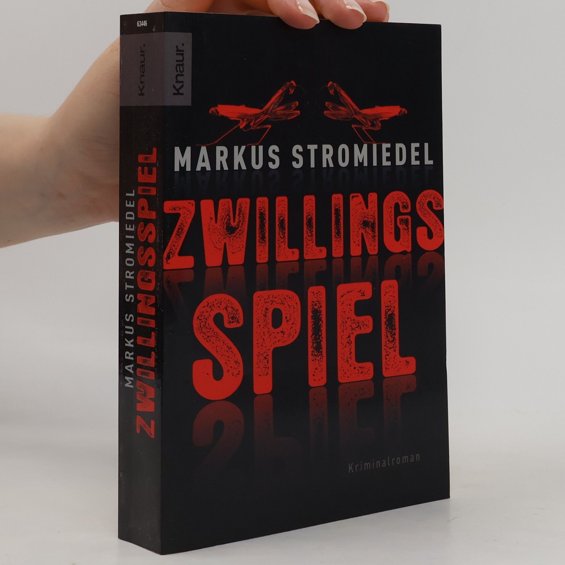 Markus Stromiedel Zwillingsspiel