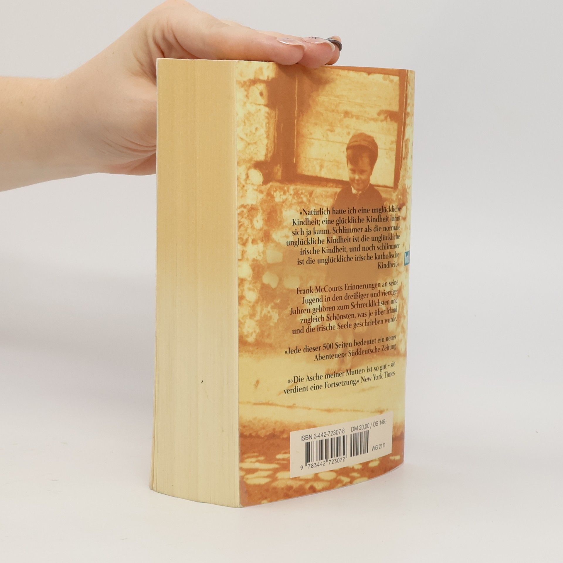 Frank McCourt Die Asche meiner Mutter