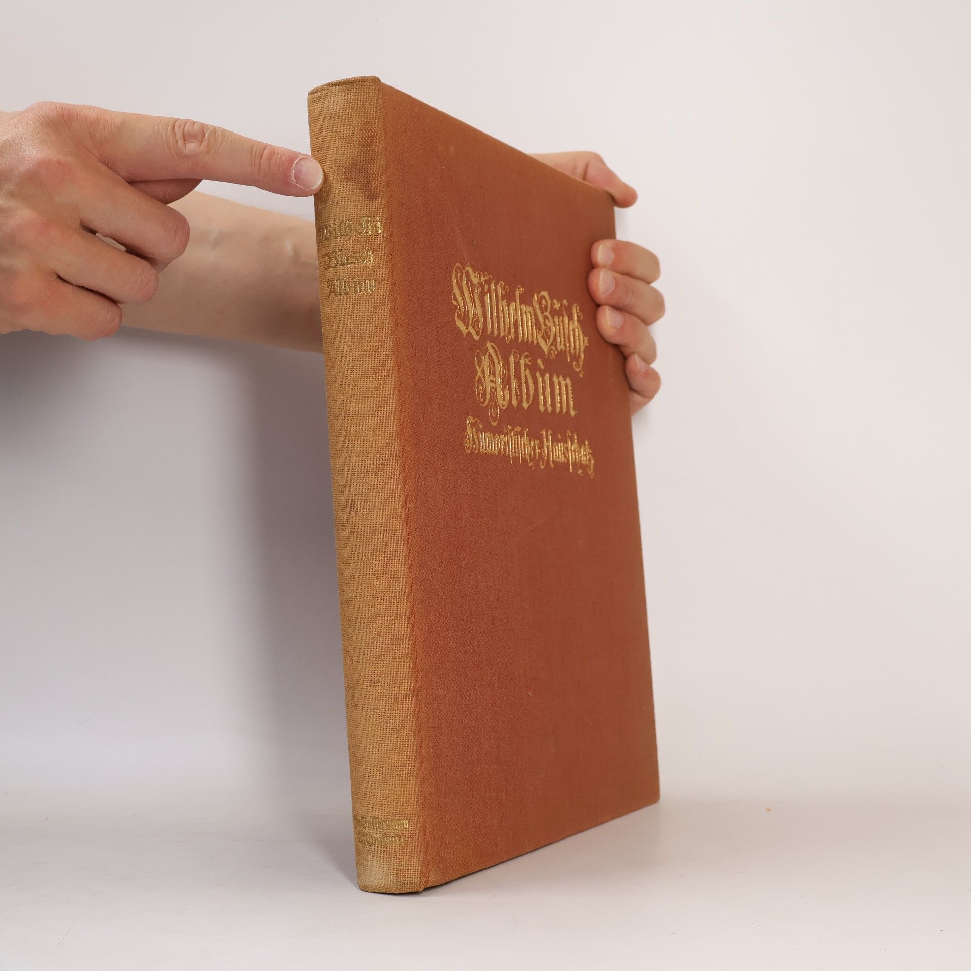 Wilhelm Busch Wilhelm Busch Album humoristischer Hausschatz mit 1500 Bildern