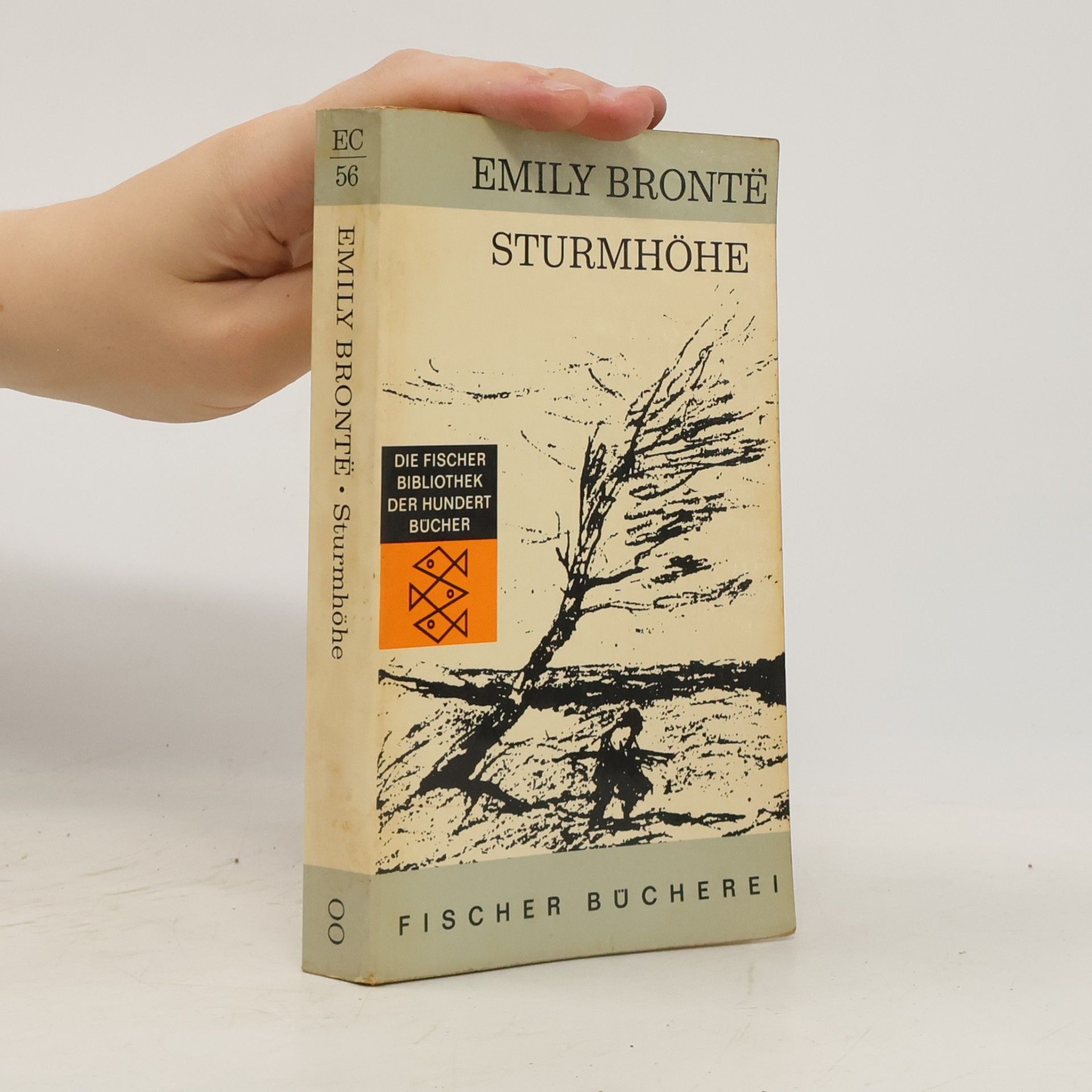 Emily Brontë Sturmhöhe
