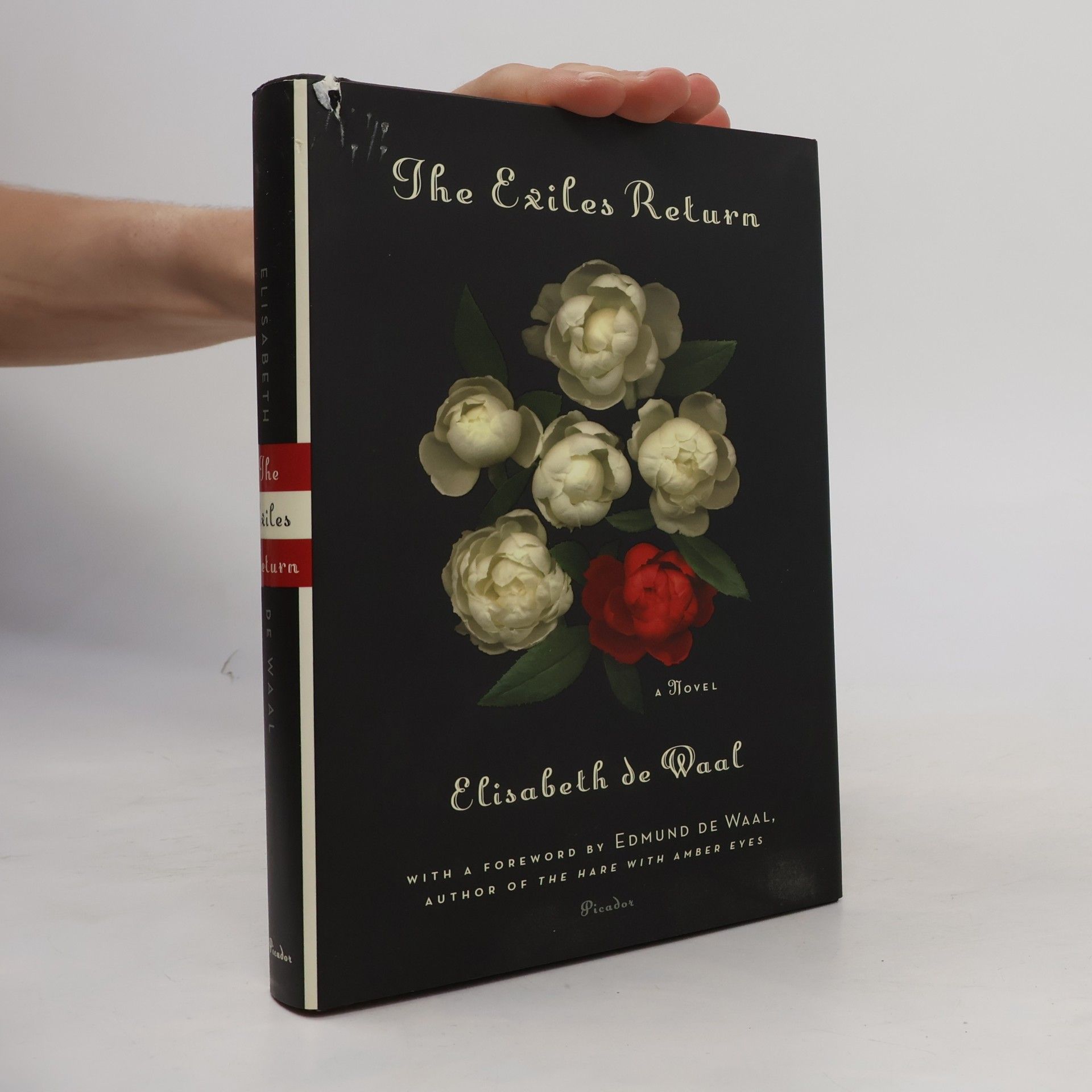 Elisabeth De Waal The Exiles Return