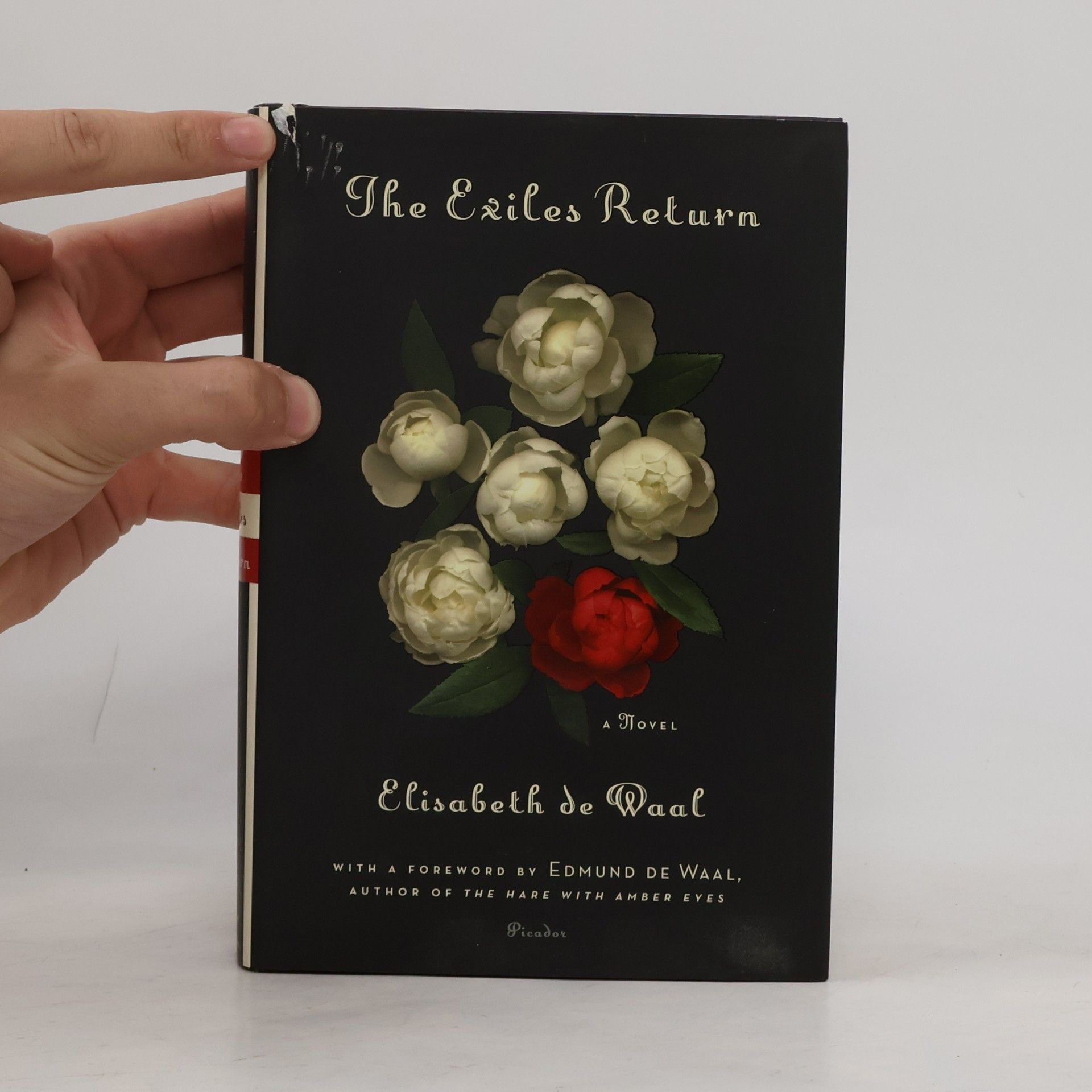 Elisabeth De Waal The Exiles Return