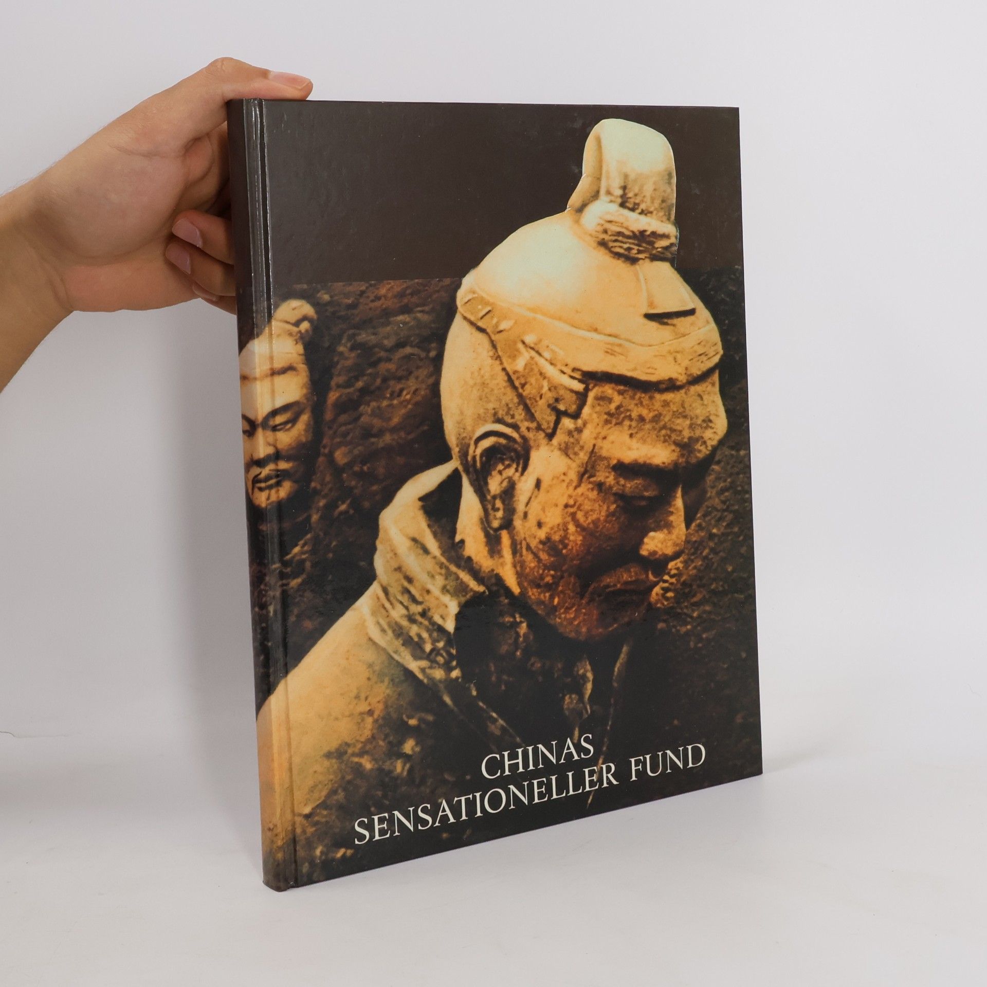 Kolektív autorov Chinas sensationeller Fund