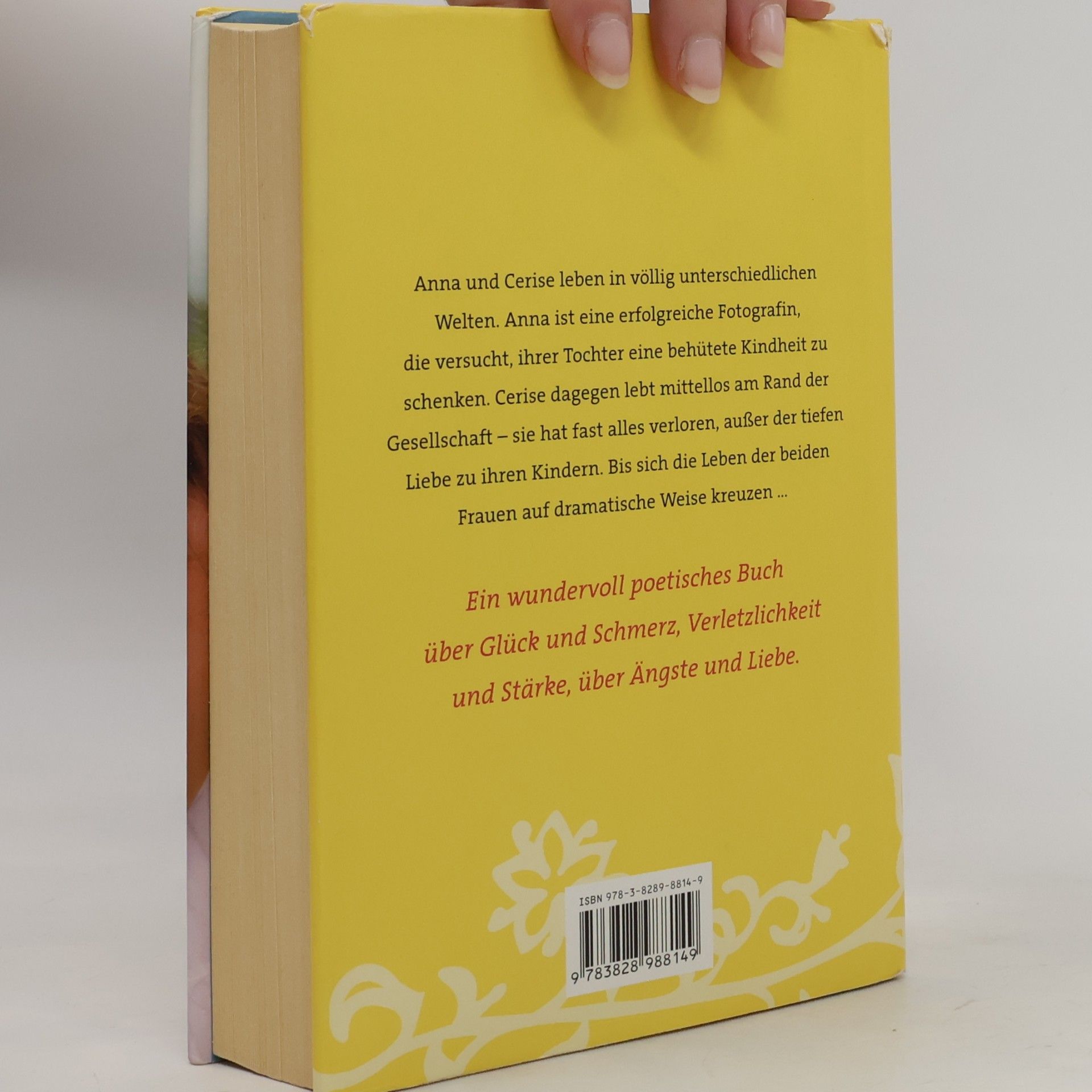 Jean Hegland Der Sommer, als Lucy vier war