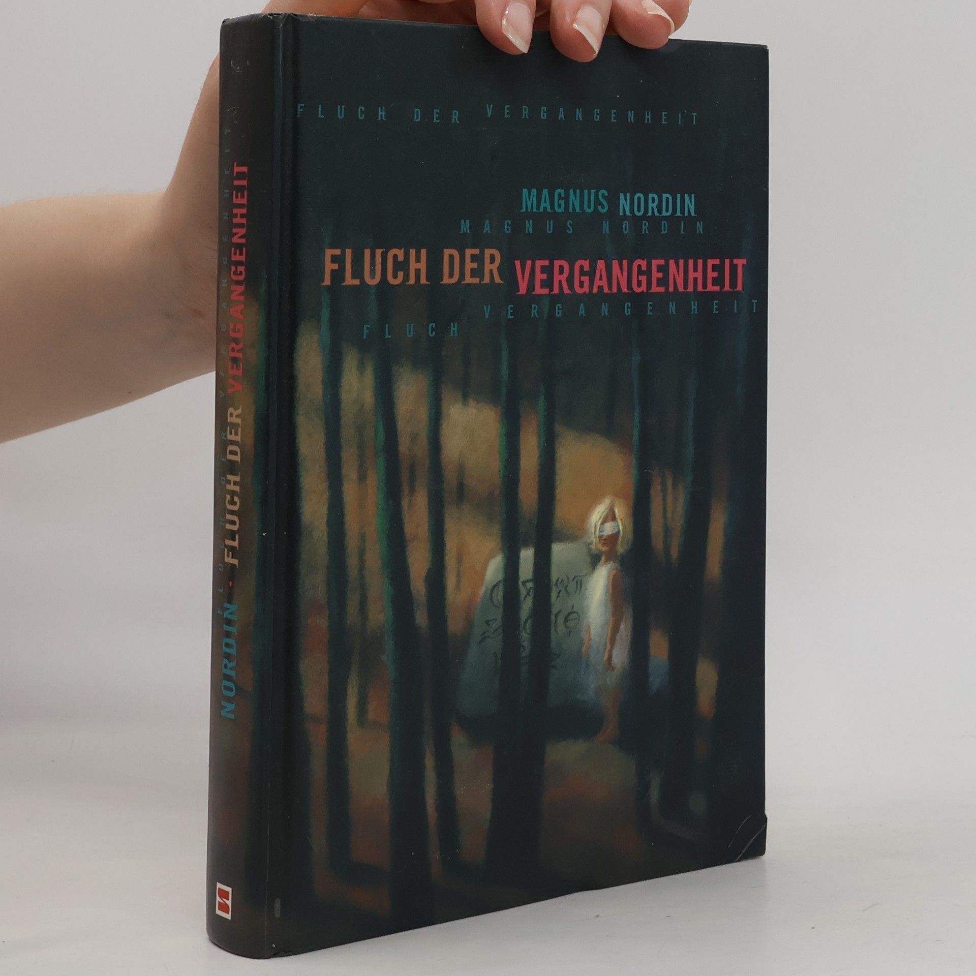 Magnus Nordin Fluch Der Vergangenheit