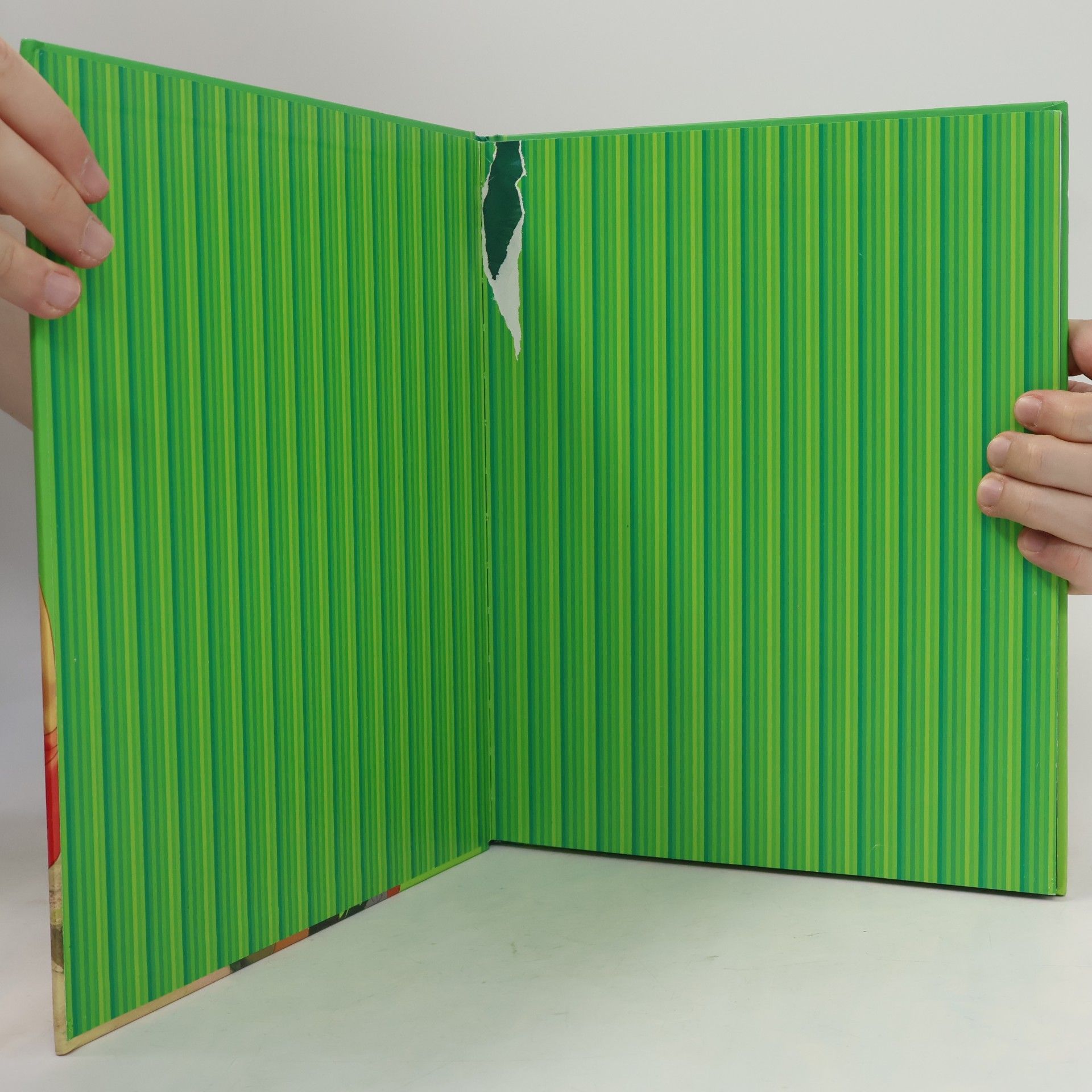 Das Dschungelbuch