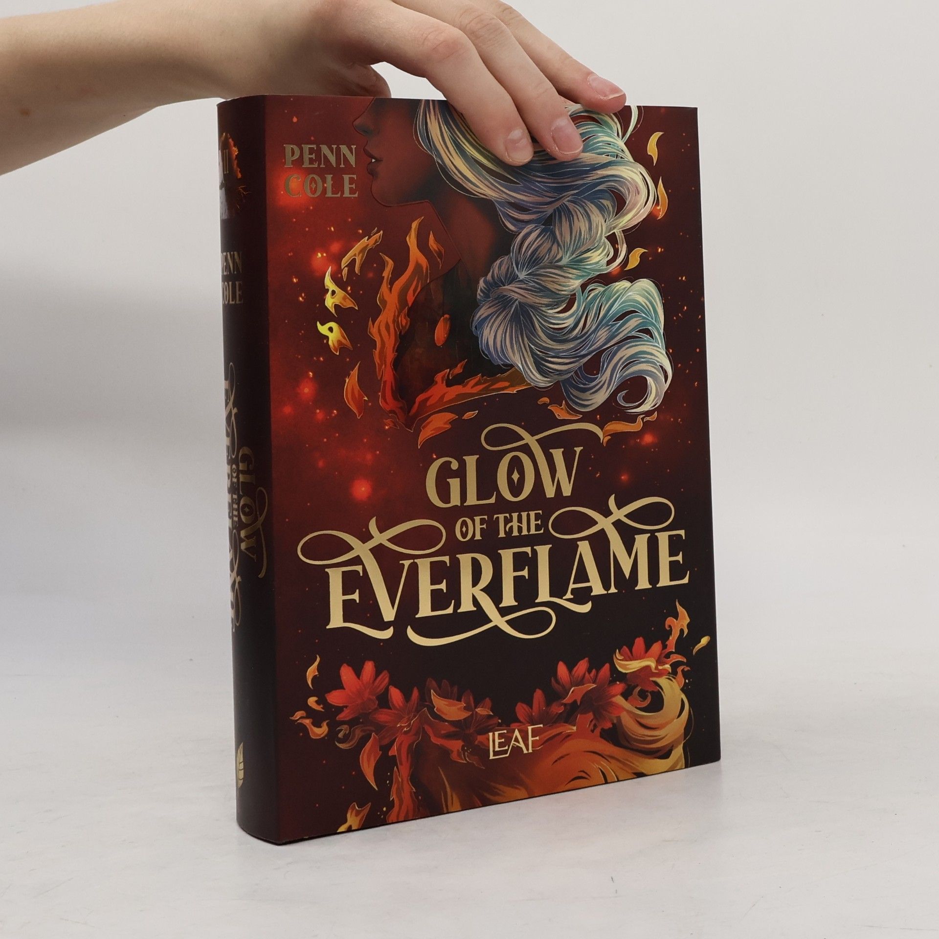 Penn Cole Glow of the Everflame / Kindred´s Curse Saga Bd.2