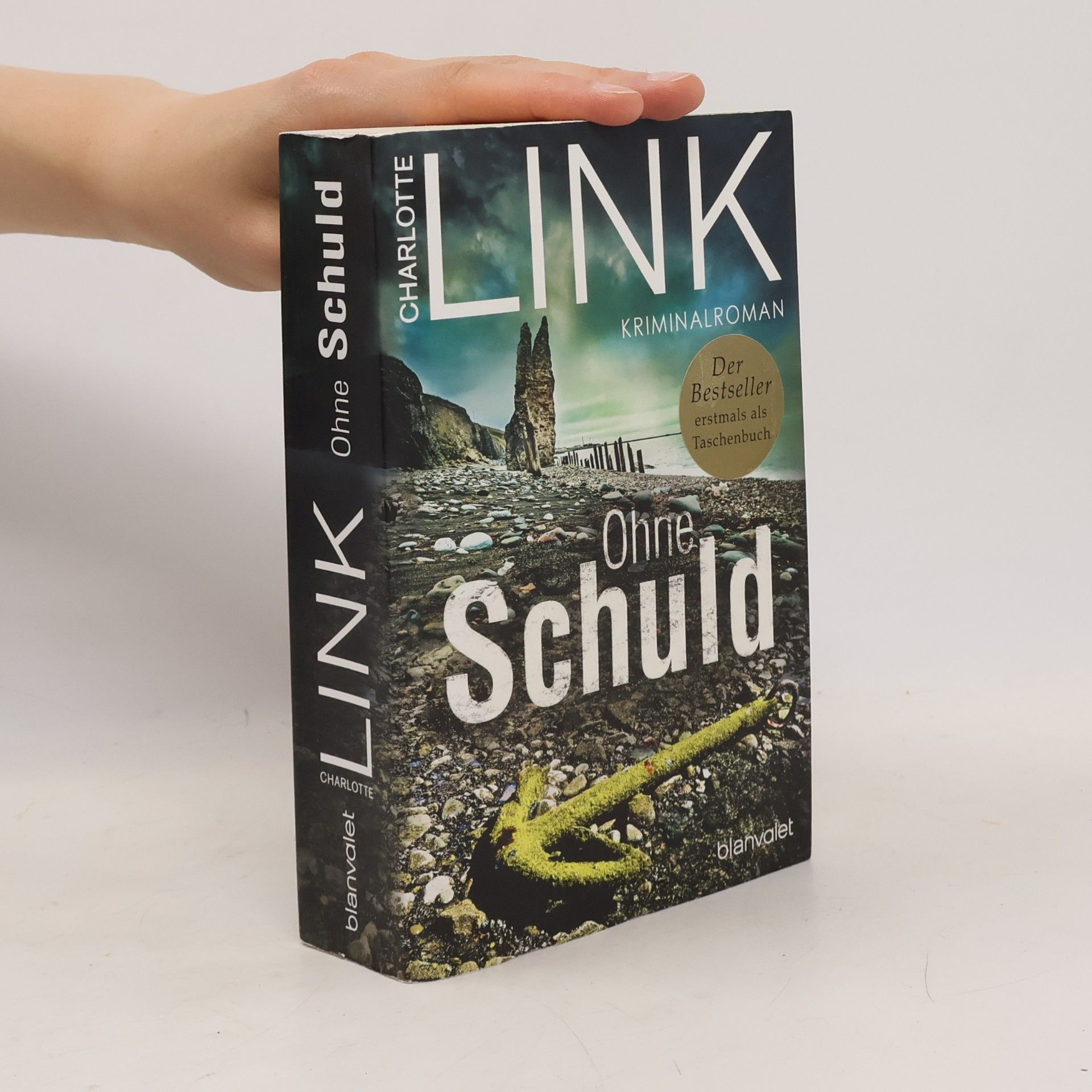 Charlotte Link Ohne Schuld