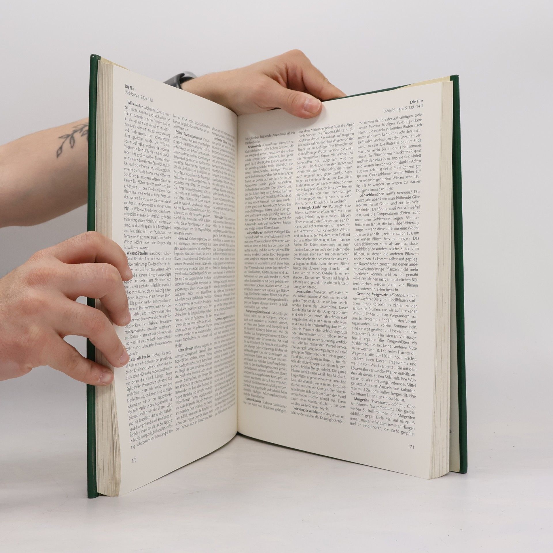 Rosina Fechter Knaurs Großer Naturführer. Die Tier- und Pflanzenwelt Mitteleuropas