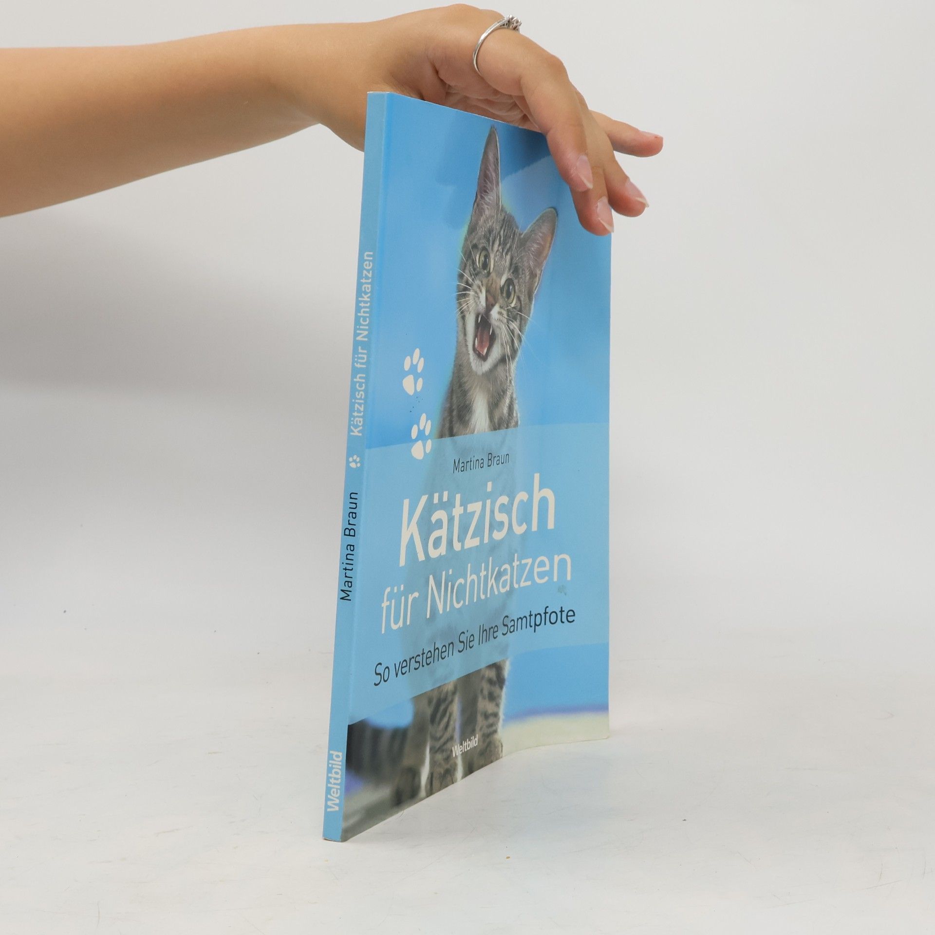 Martina Braun Kätzisch für Nichtkatzen