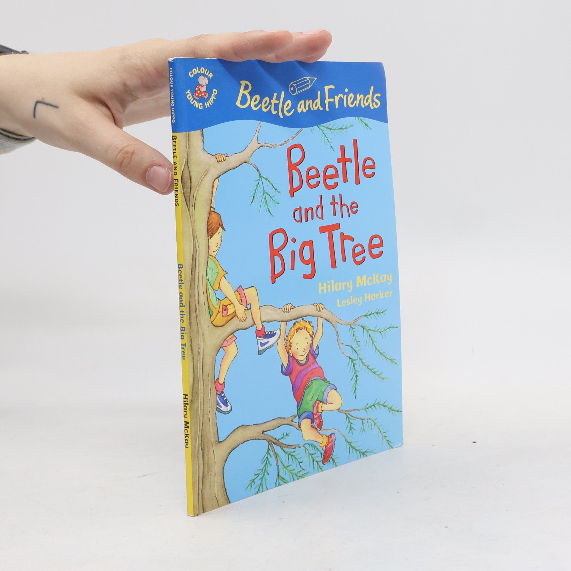 Beetle And The Big Tree