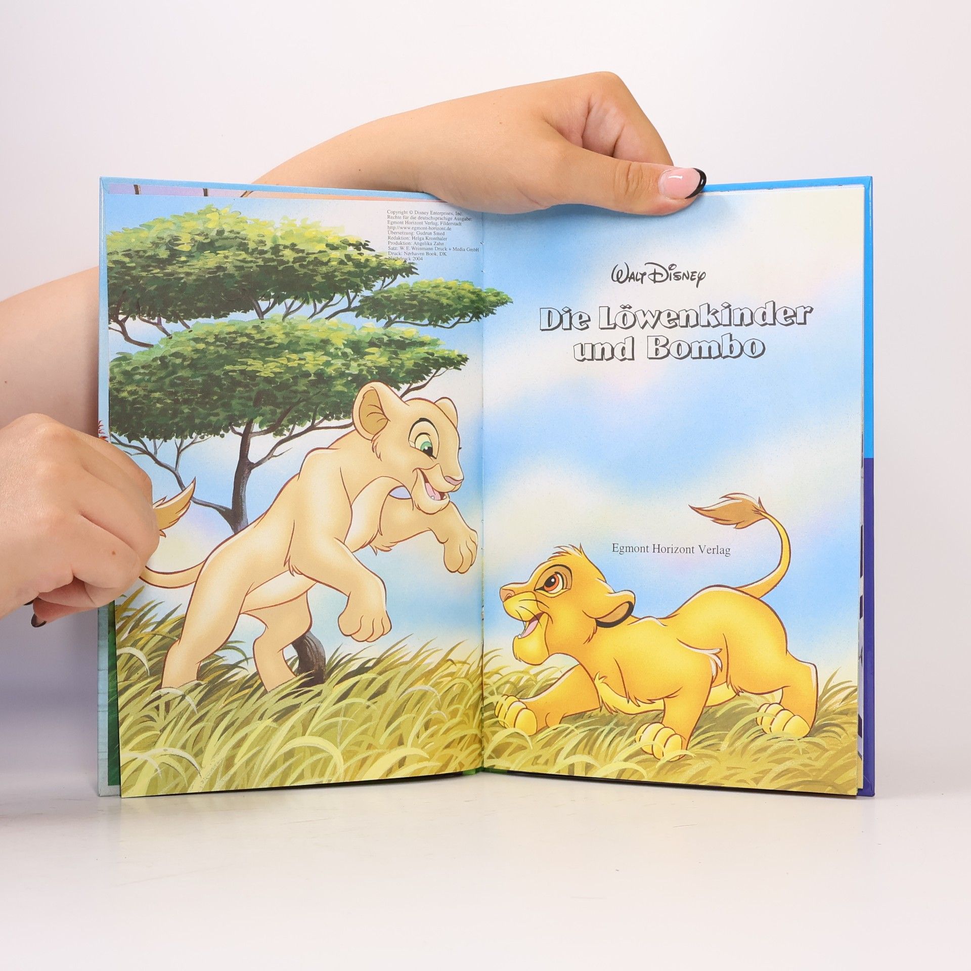 Walt Disney Die Löwenkinder und Bombo