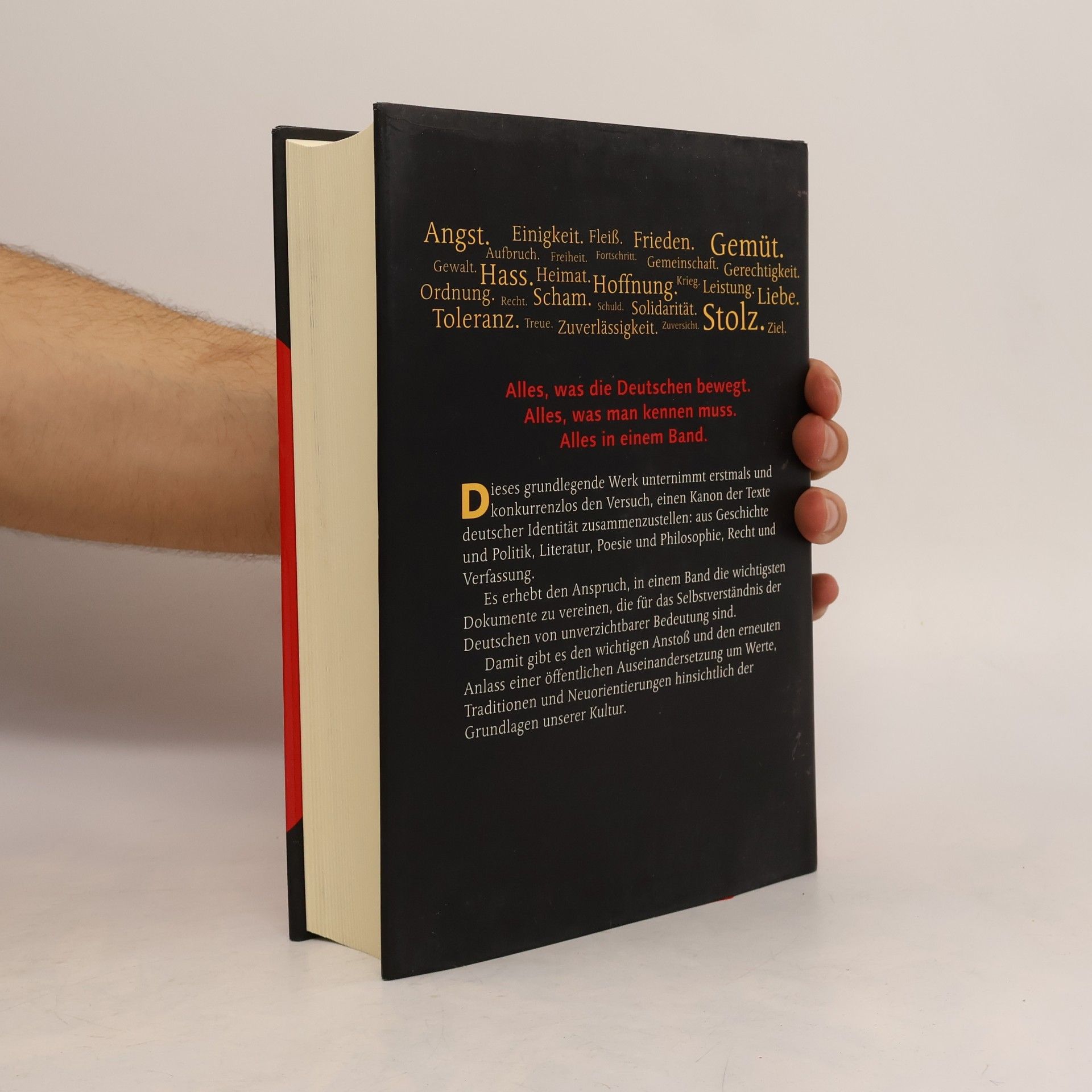 Johannes Thiele Das Buch der Deutschen