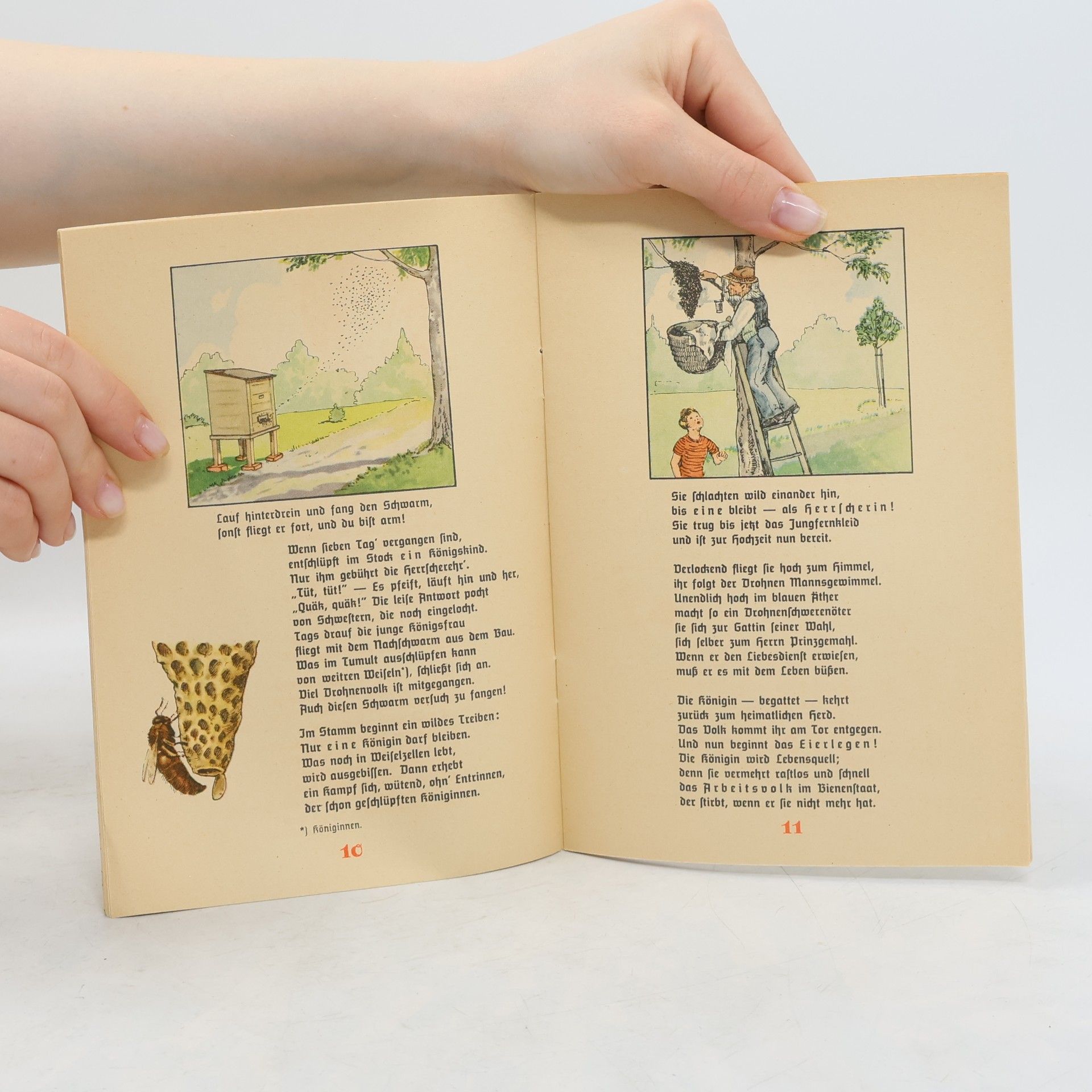 Autorenkollektiv Die lustige Bienenfibel