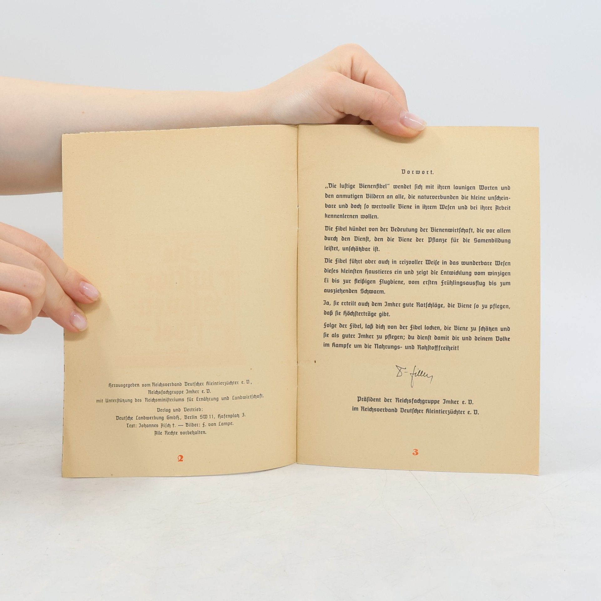Autorenkollektiv Die lustige Bienenfibel