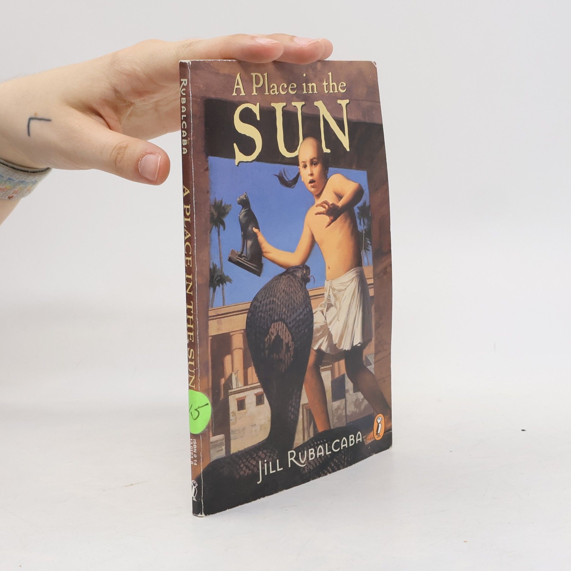 Jill Rubalcaba A Place in the Sun