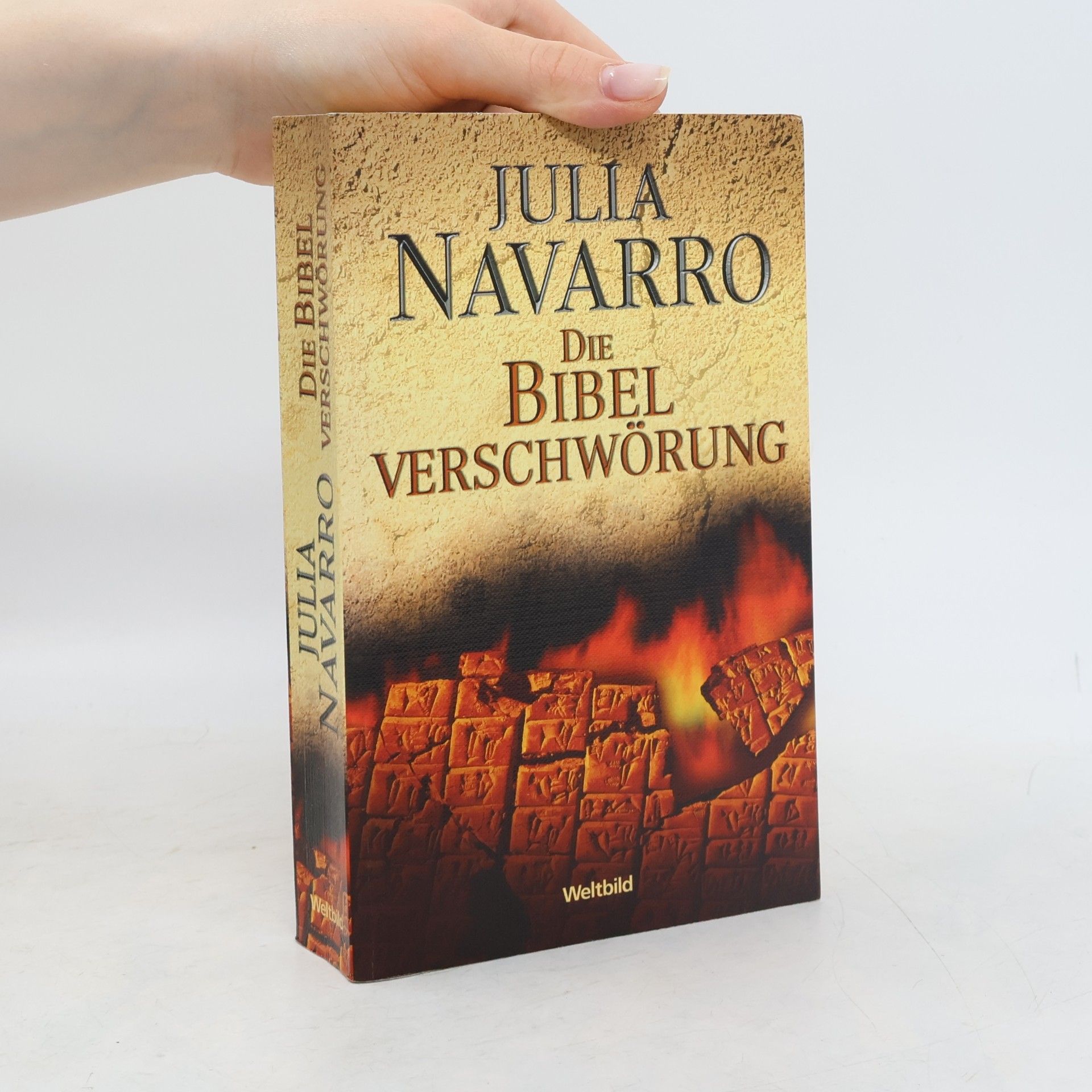 Julia Navarro Die Bibel-Verschwörung