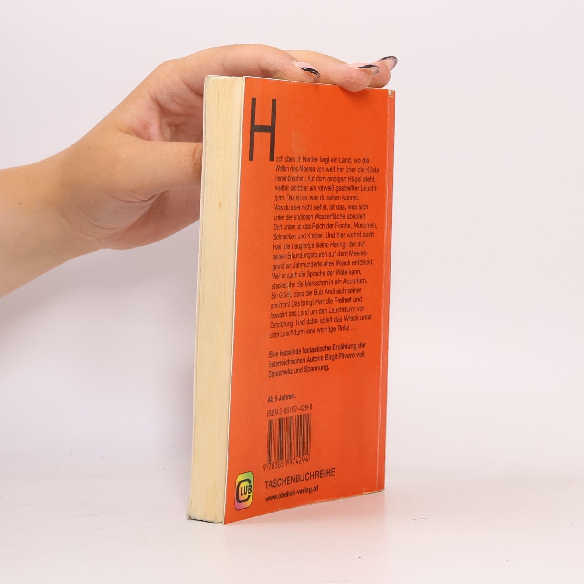 Birgit Rivero Das Wrack unterm Leuchtturm