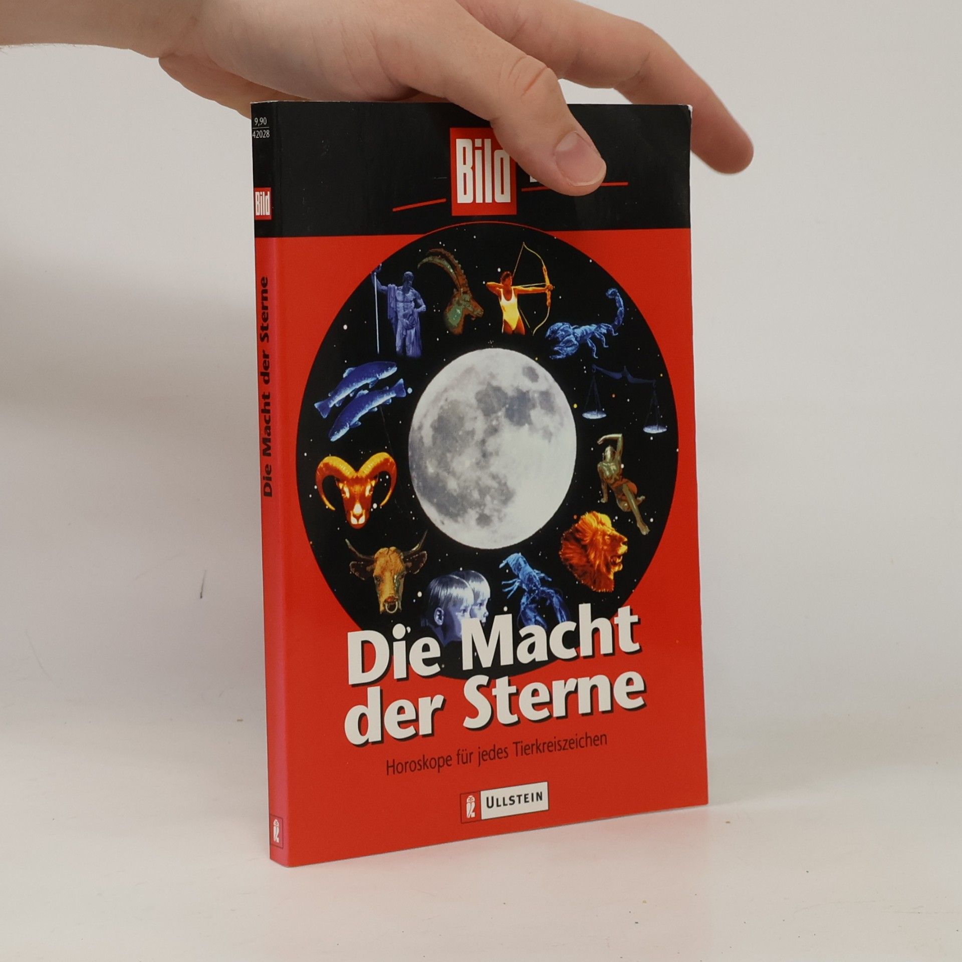 Wolf Rainer Cario Mein erstes Jahr