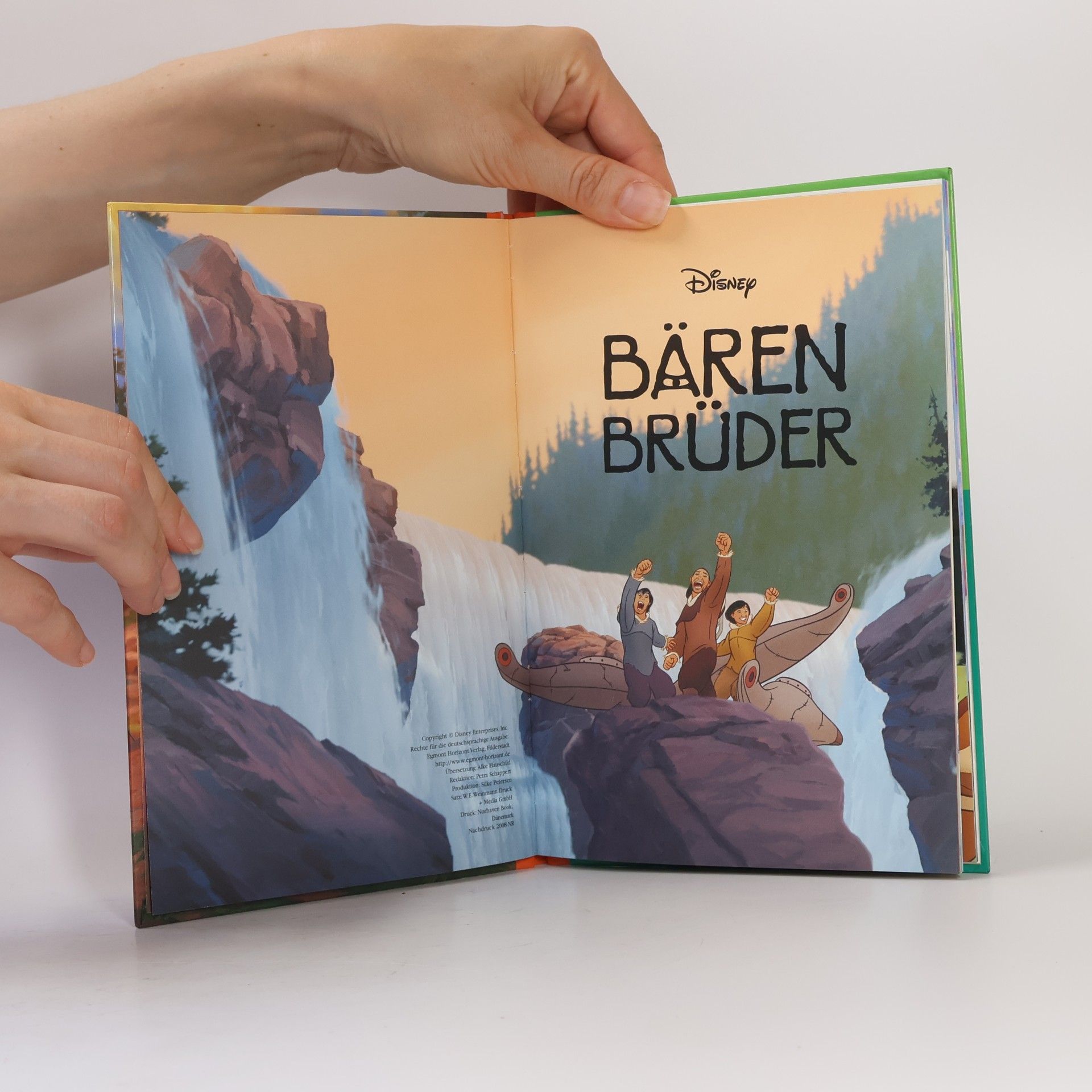Autorenkollektiv Bären Brüder