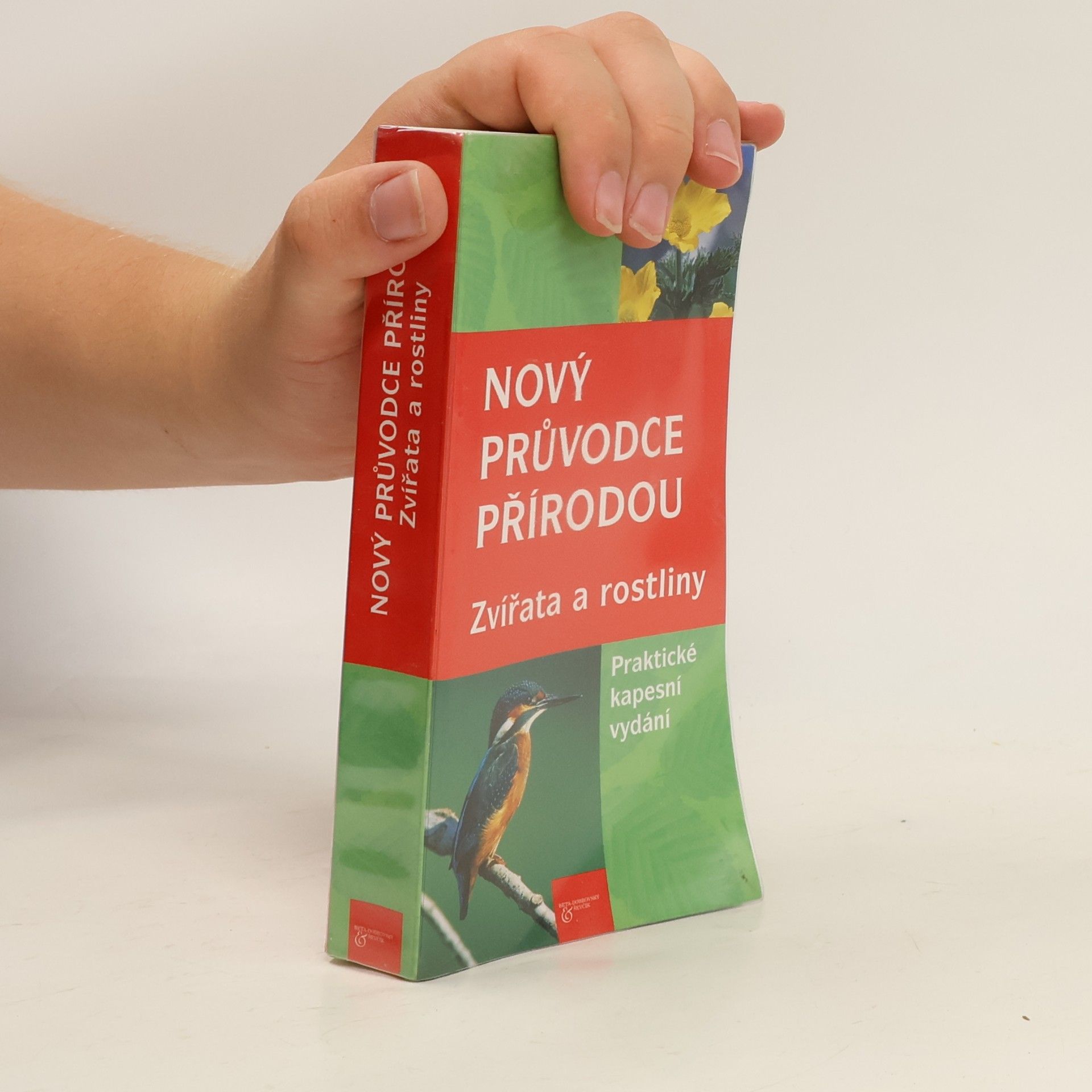 Wilhelm Eisenreich Nový průvodce přírodou : zvířata a rostliny