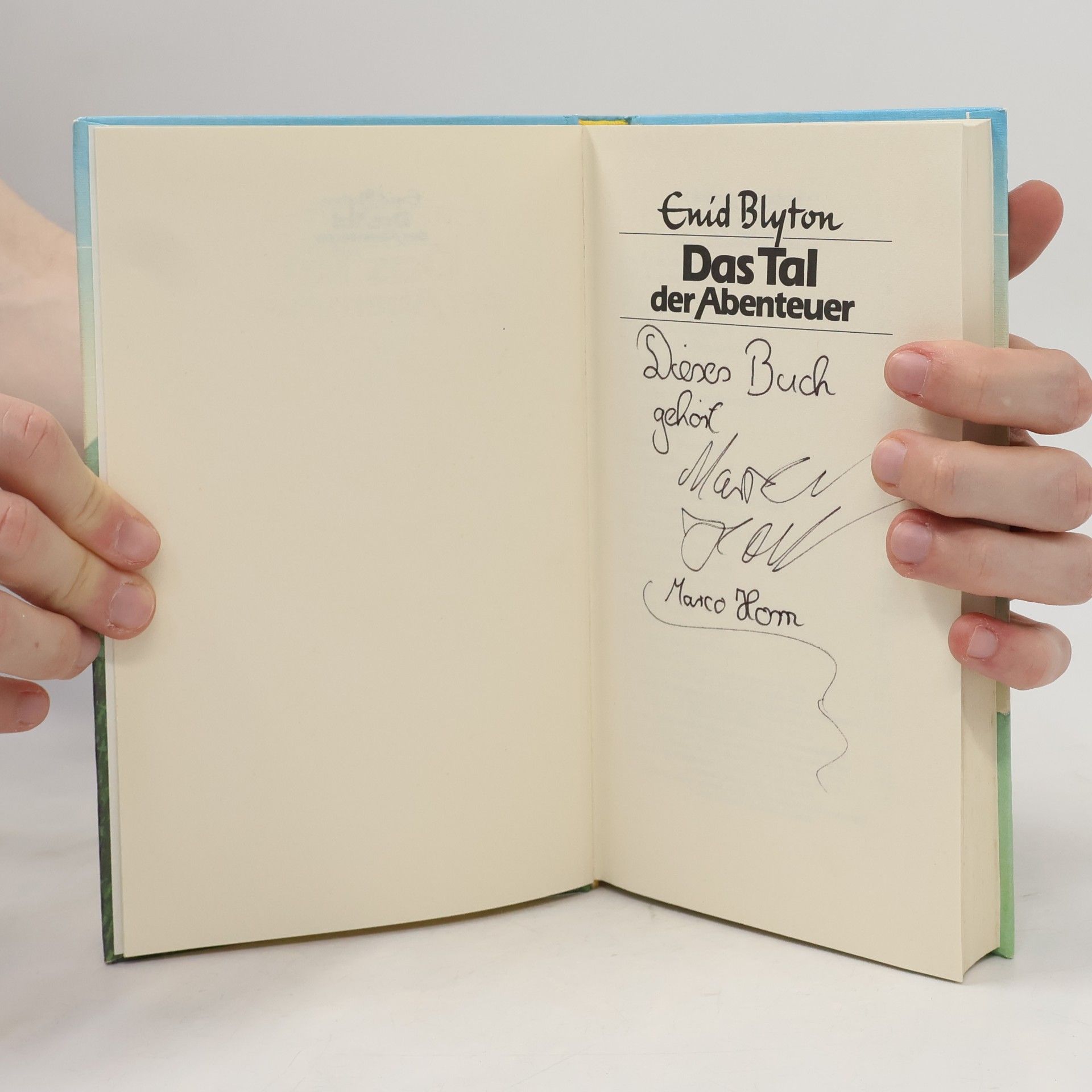 Enid Blyton Das Tal der Abenteuer