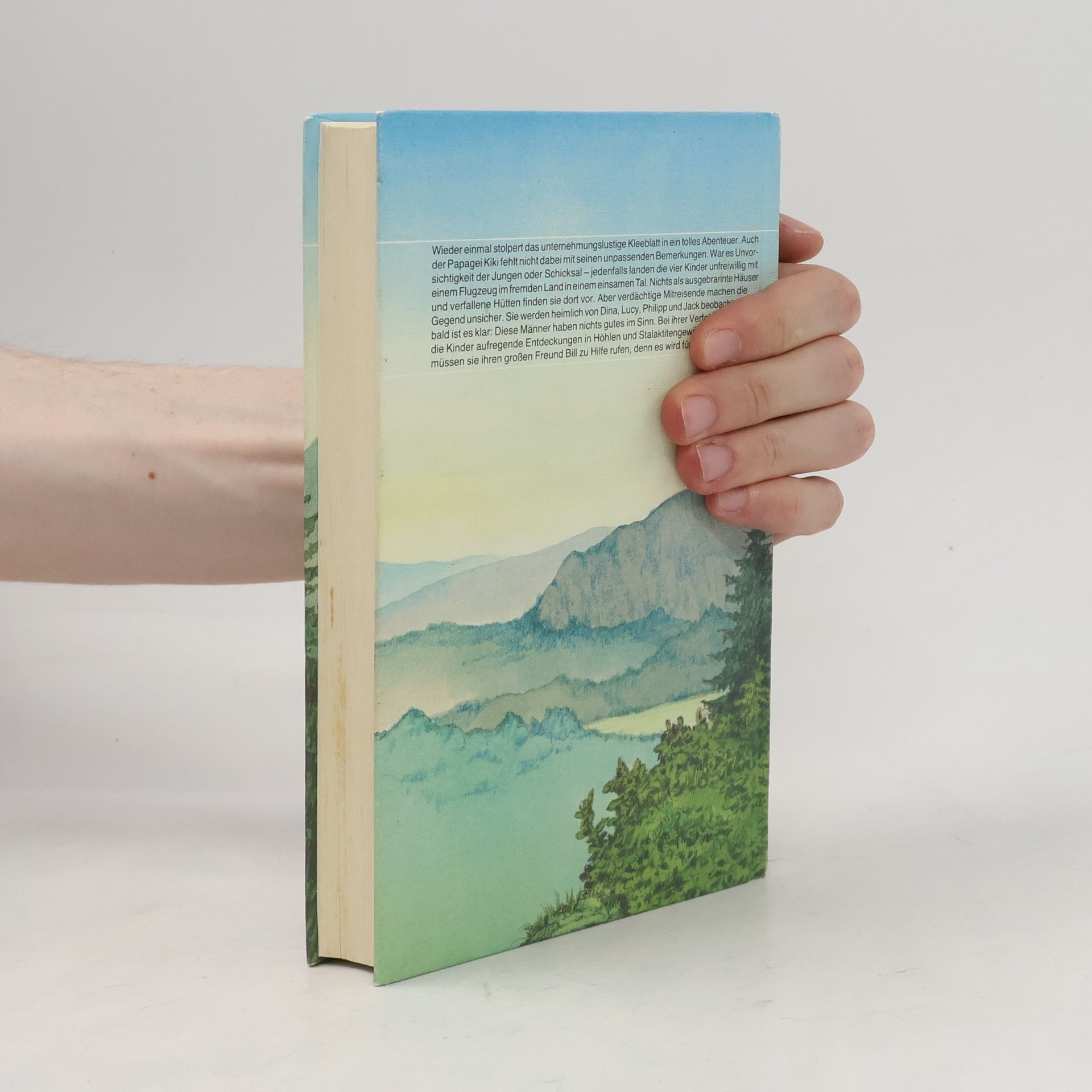 Enid Blyton Das Tal der Abenteuer