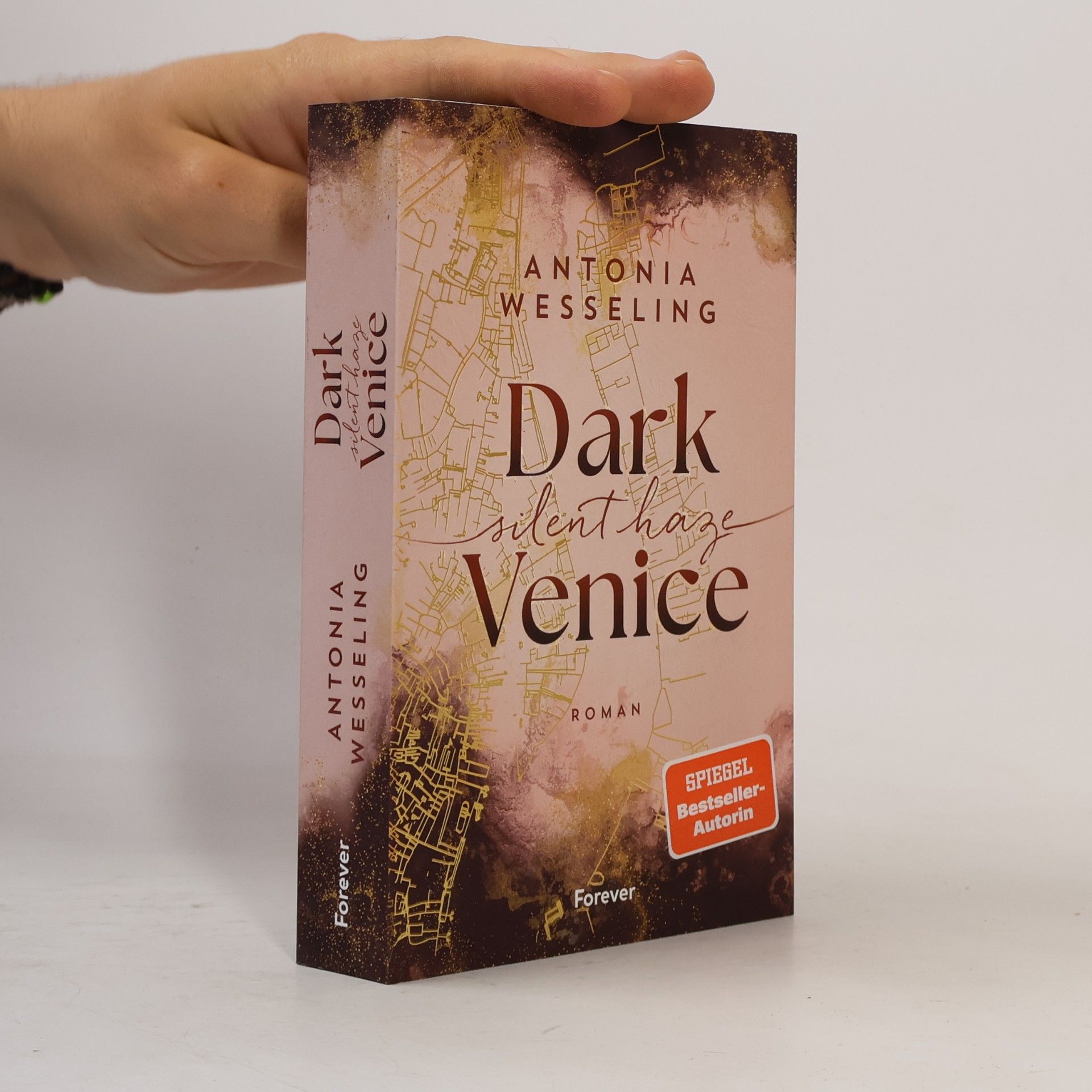 Antonia C. Wesseling Dark Venice. Silent Haze