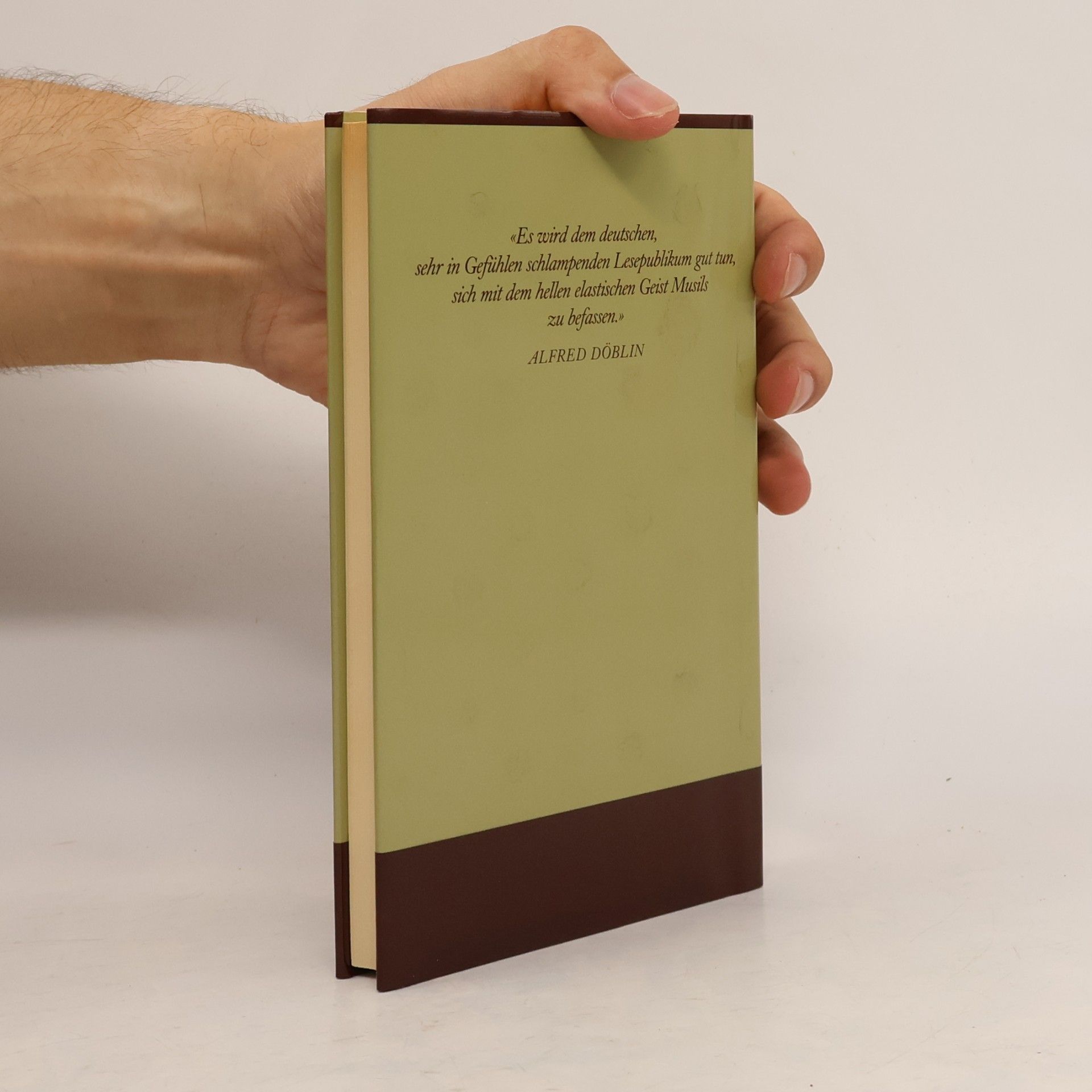 Robert Musil Die Verwirrungen des Zöglings Törless