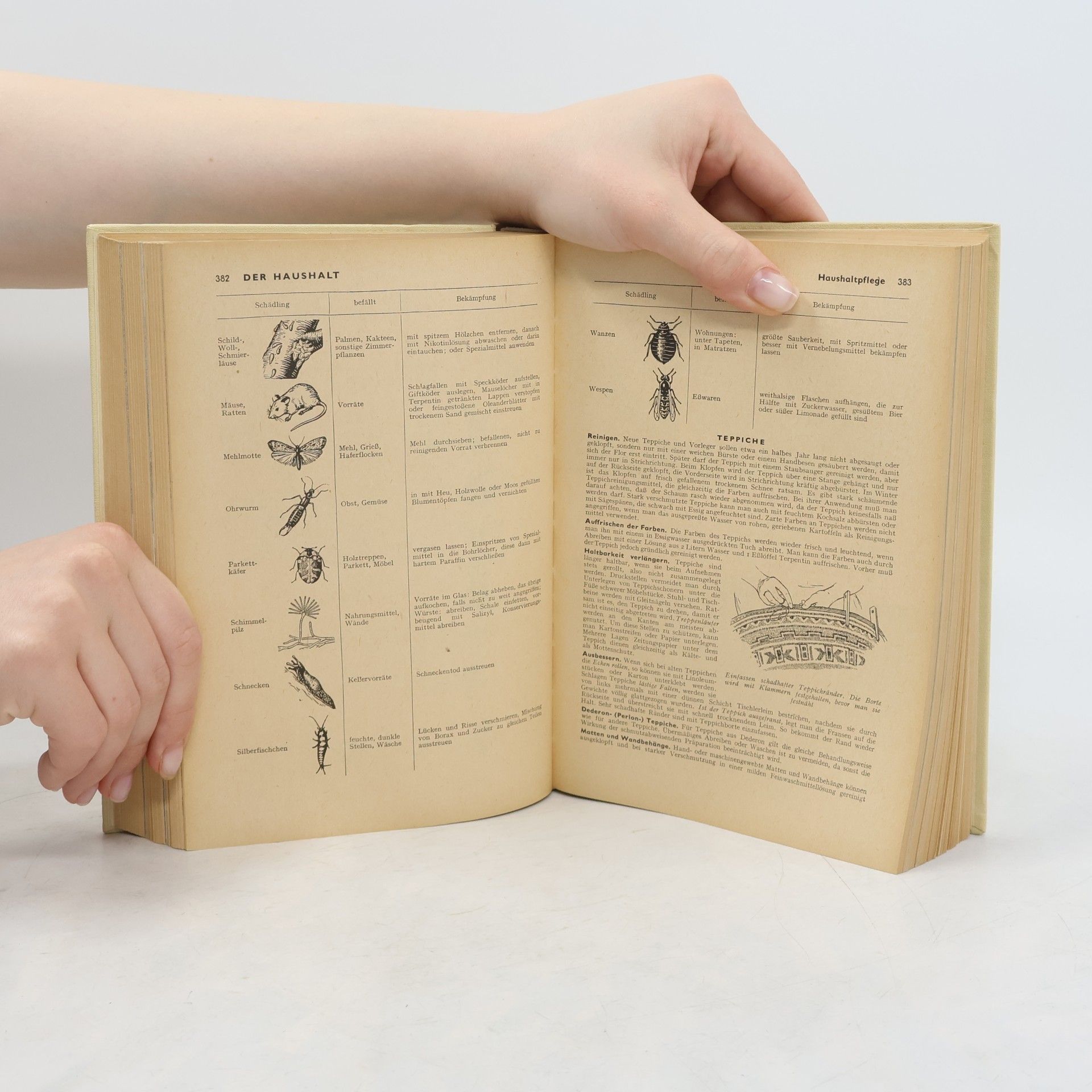 Various authors Kleine Enzyklopädie. Die Frau