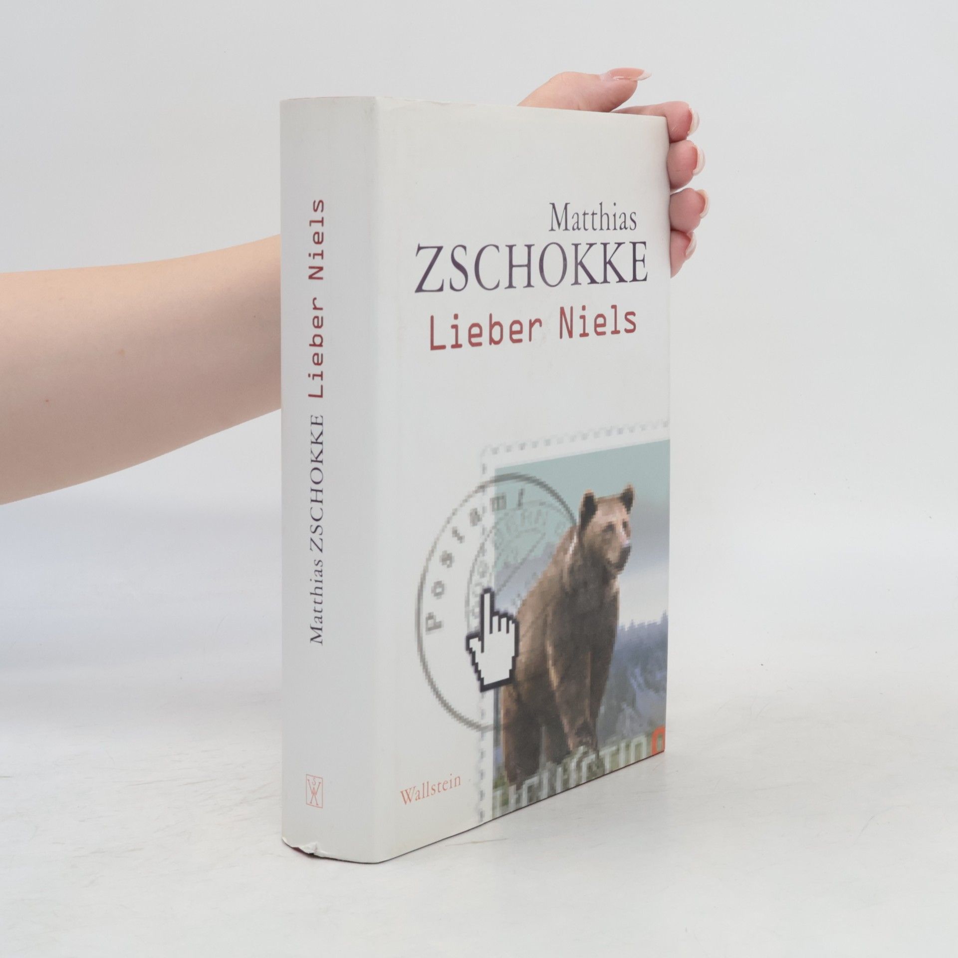 Matthias Zschokke Lieber Niels