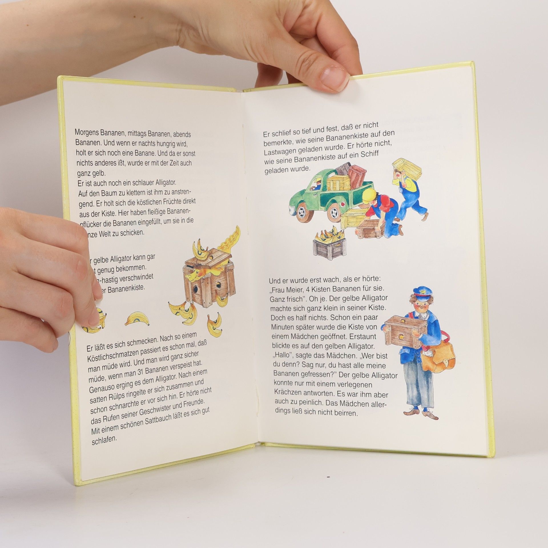 Auteurscollectief Fritz der gelbe Alligator