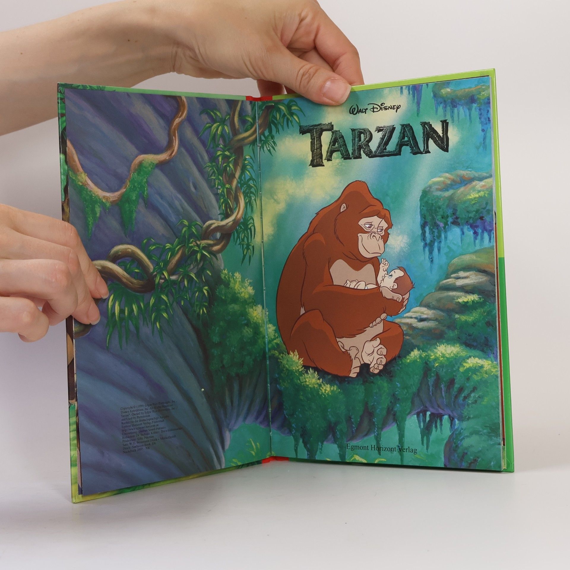 Walt Disney Tarzan