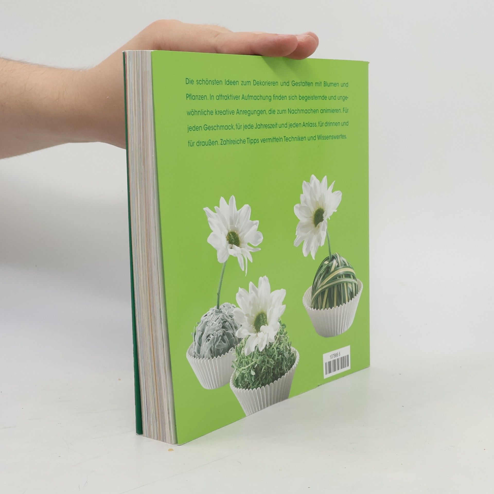 Klaus Wagener 555 Dekoideen mit Blumen und Pflanzen