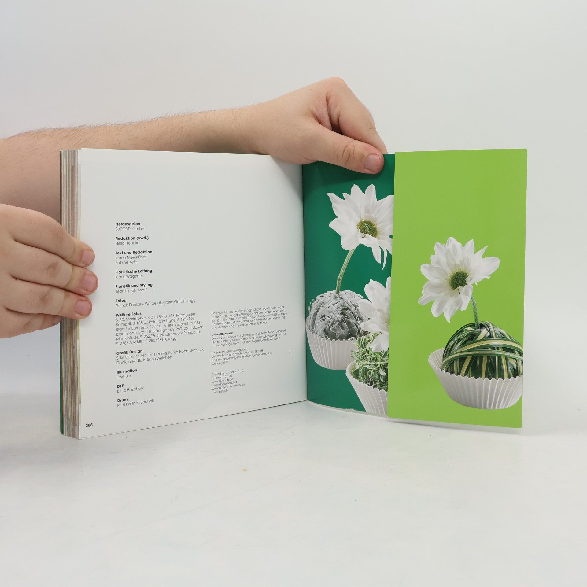 Klaus Wagener 555 Dekoideen mit Blumen und Pflanzen
