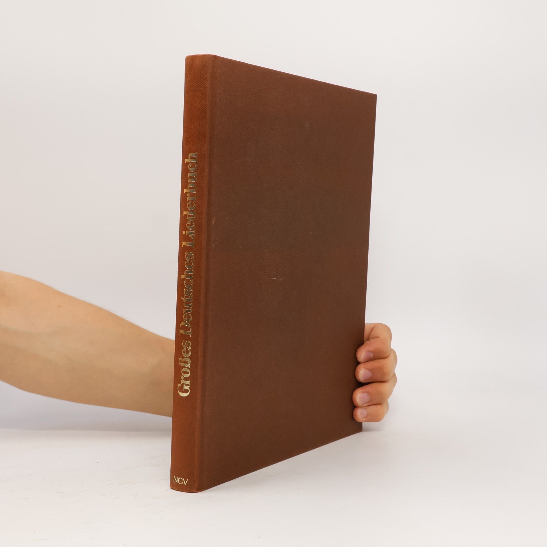 Monika Koster Großes deutsches Liederbuch