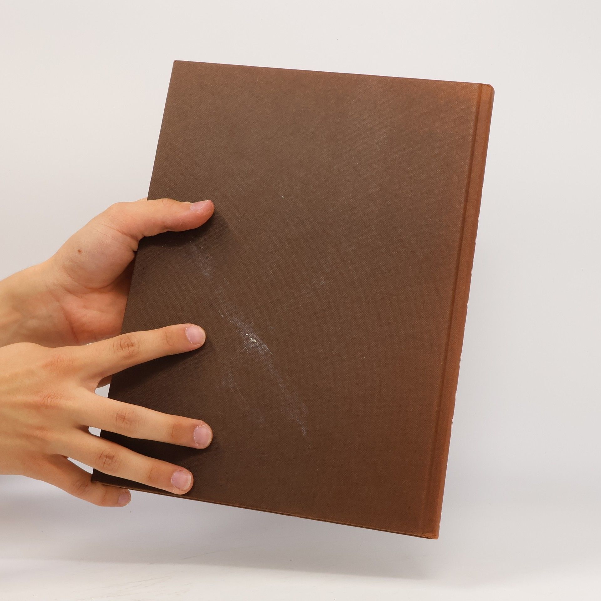 Monika Koster Großes deutsches Liederbuch