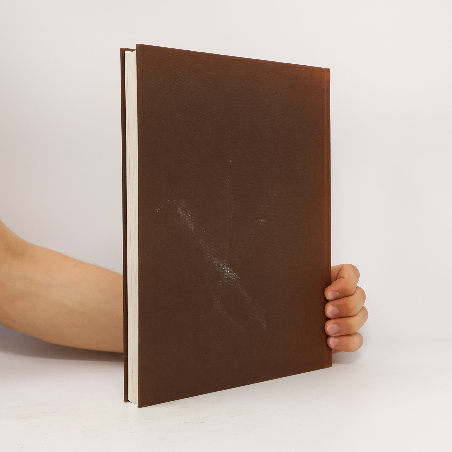 Monika Koster Großes deutsches Liederbuch