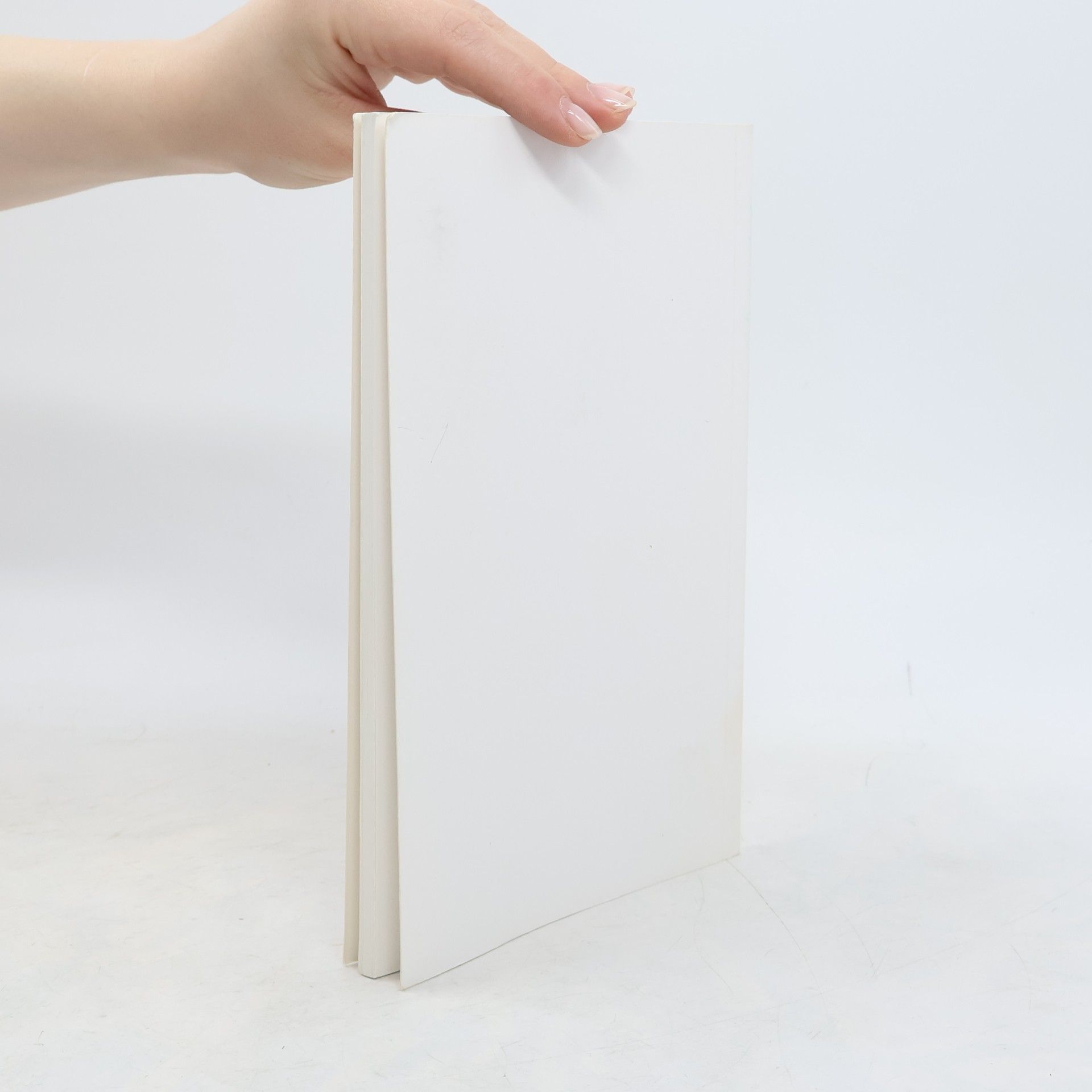 Kolektiv autorů Bremisches Jahrbuch 88
