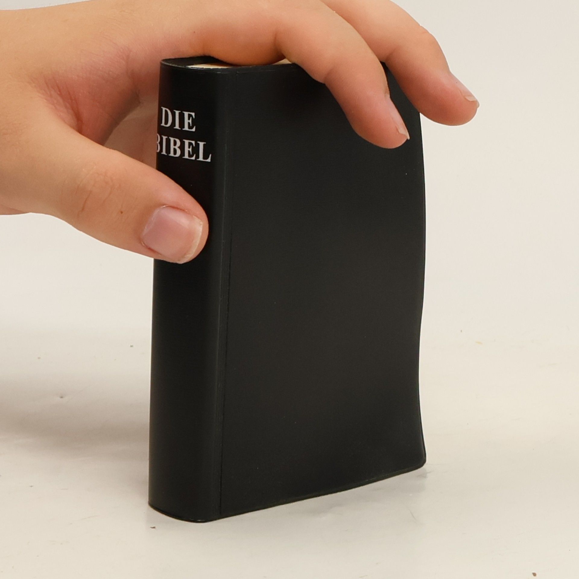 Auteurscollectief Die Bibel
