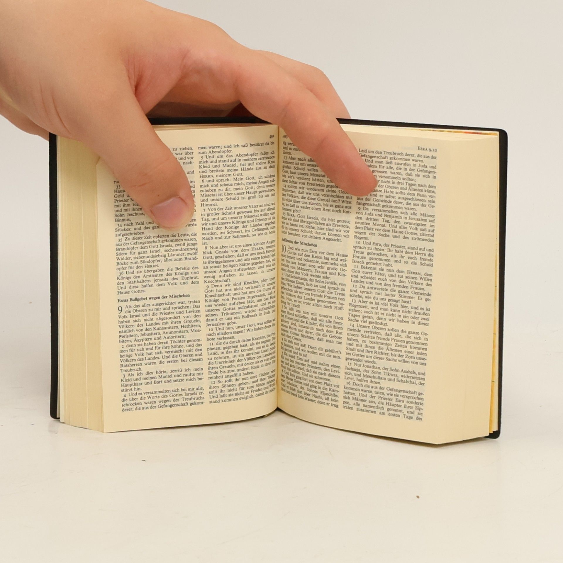 Collectif d'auteurs Die Bibel